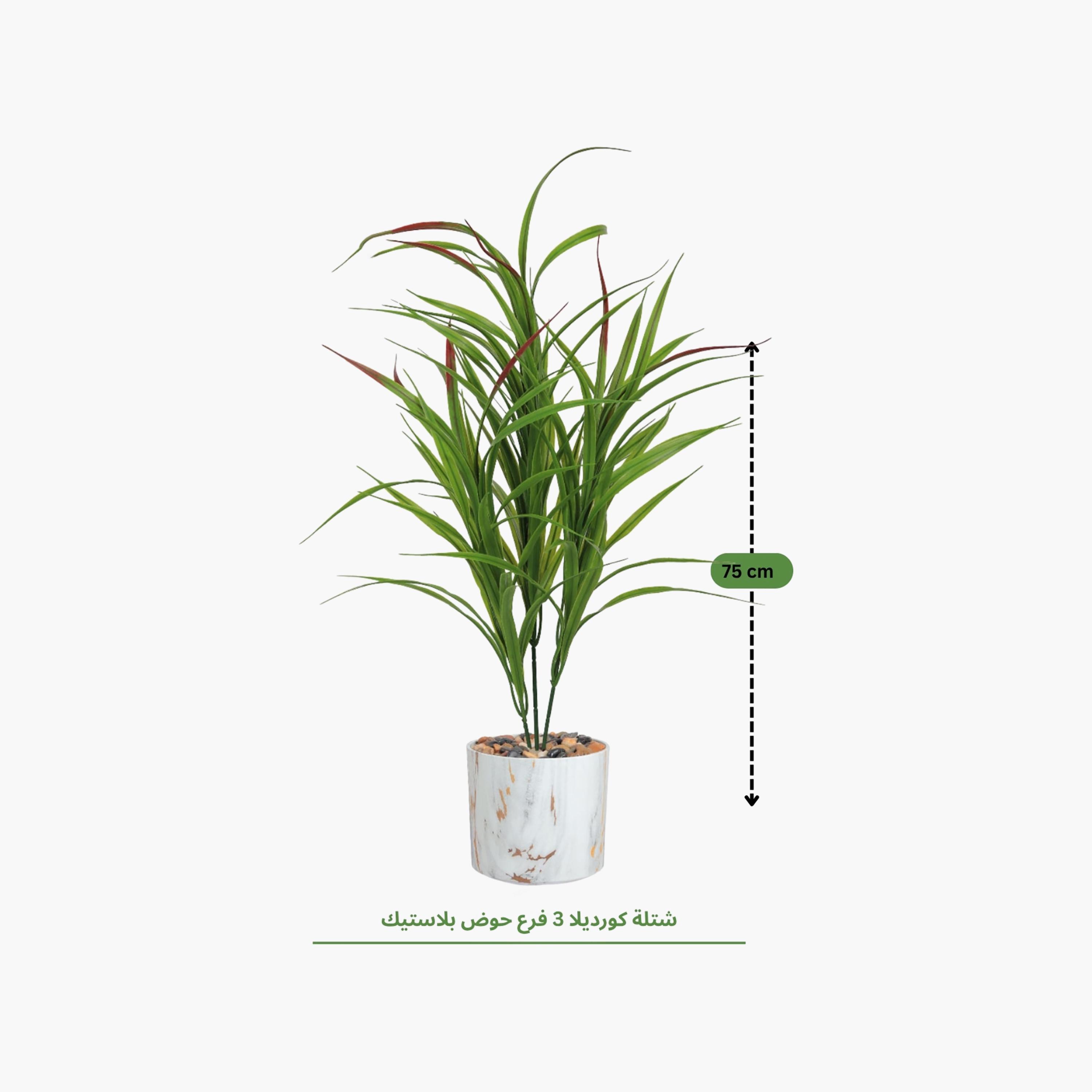 Maria Homes Multicolour Potted Artificial Cordyline Plant-household-gardenandoutdoor-artificialflowersandplants-flowers-image-4