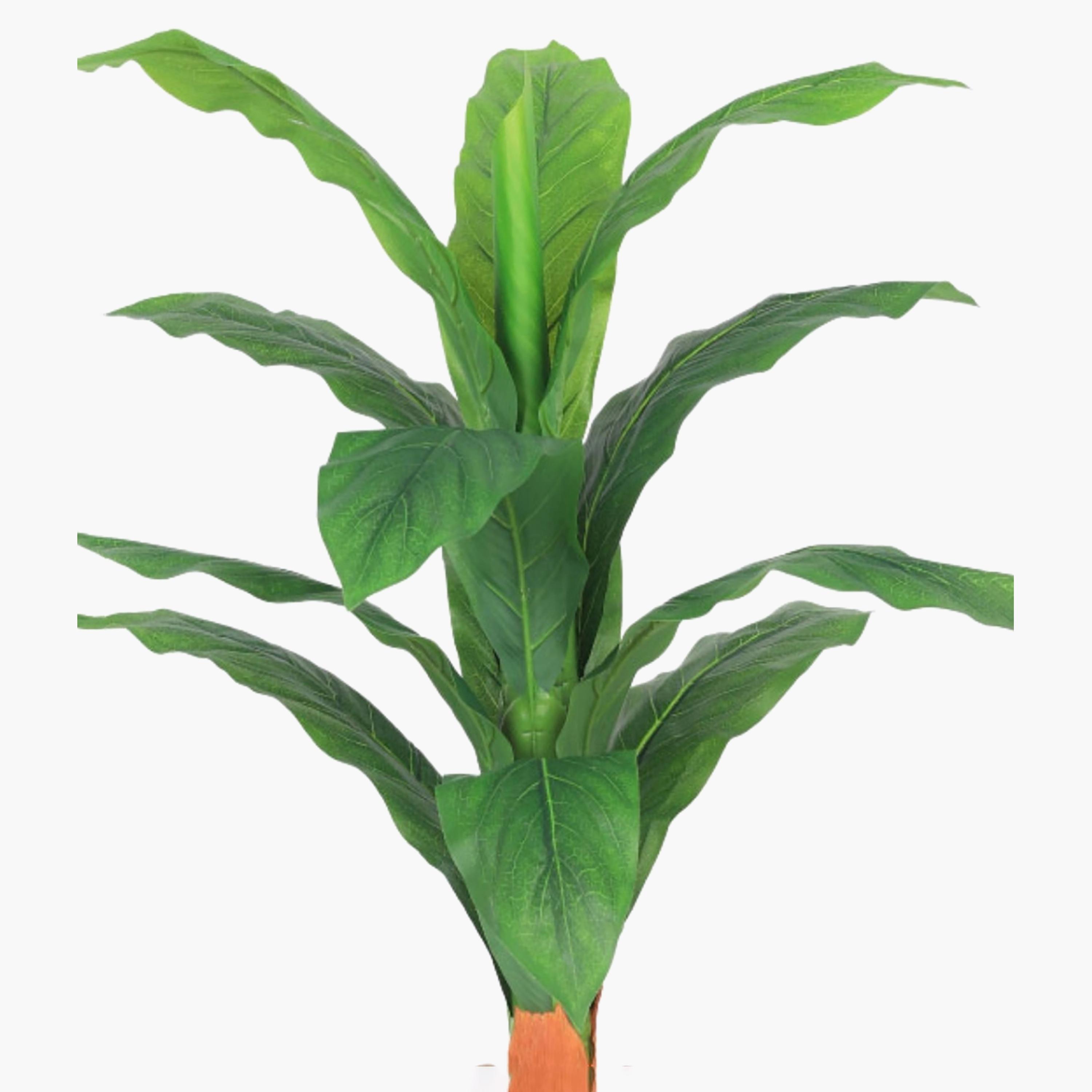 نبتة أوراق صناعية بأصيص من ماريا هومز-household-gardenandoutdoor-artificialflowersandplants-flowers-image-3