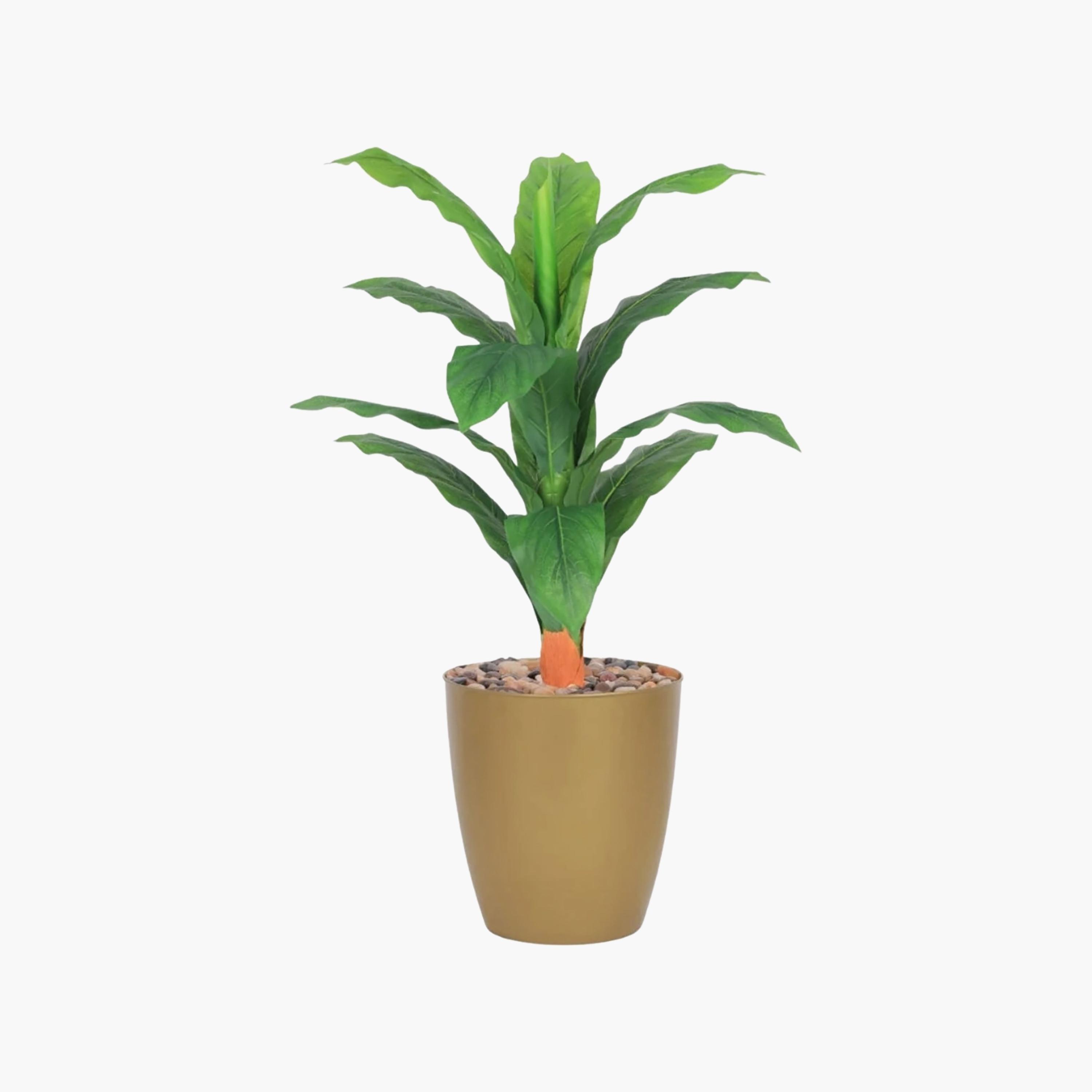 نبتة أوراق صناعية بأصيص من ماريا هومز-household-gardenandoutdoor-artificialflowersandplants-flowers-image-2
