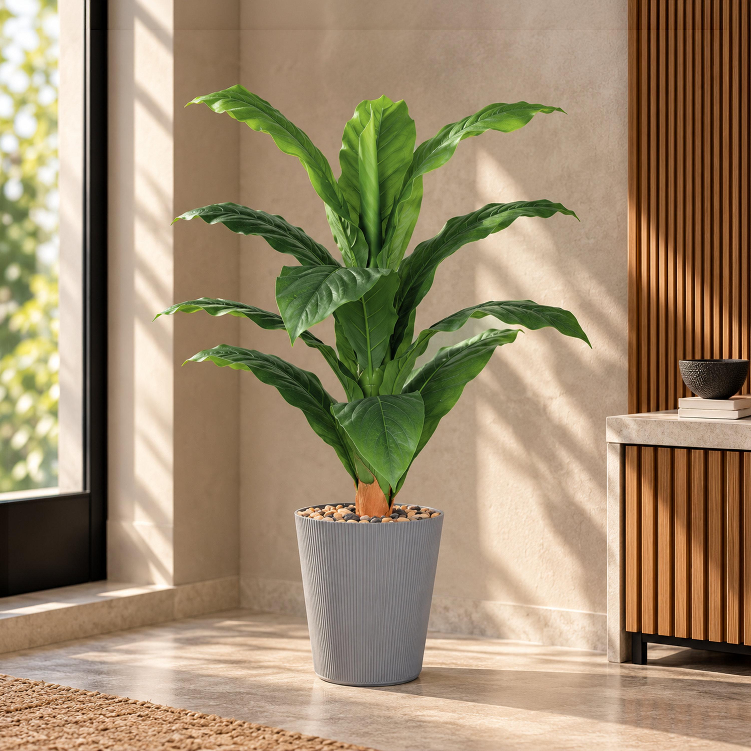 نبتة أوراق صناعية بأصيص من ماريا هومز-household-gardenandoutdoor-artificialflowersandplants-flowers-image-1