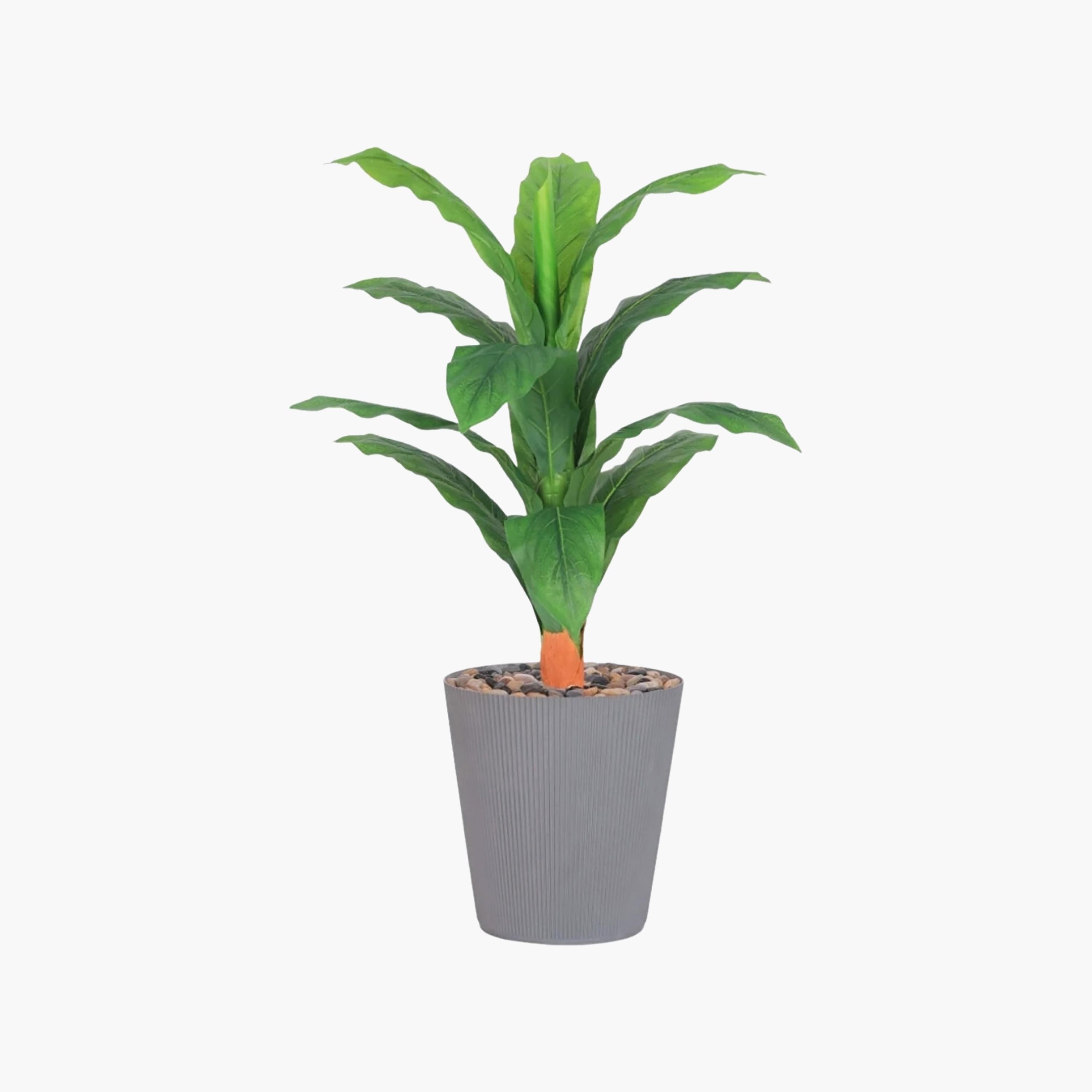 نبتة أوراق صناعية بأصيص من ماريا هومز-household-gardenandoutdoor-artificialflowersandplants-flowers-image-2