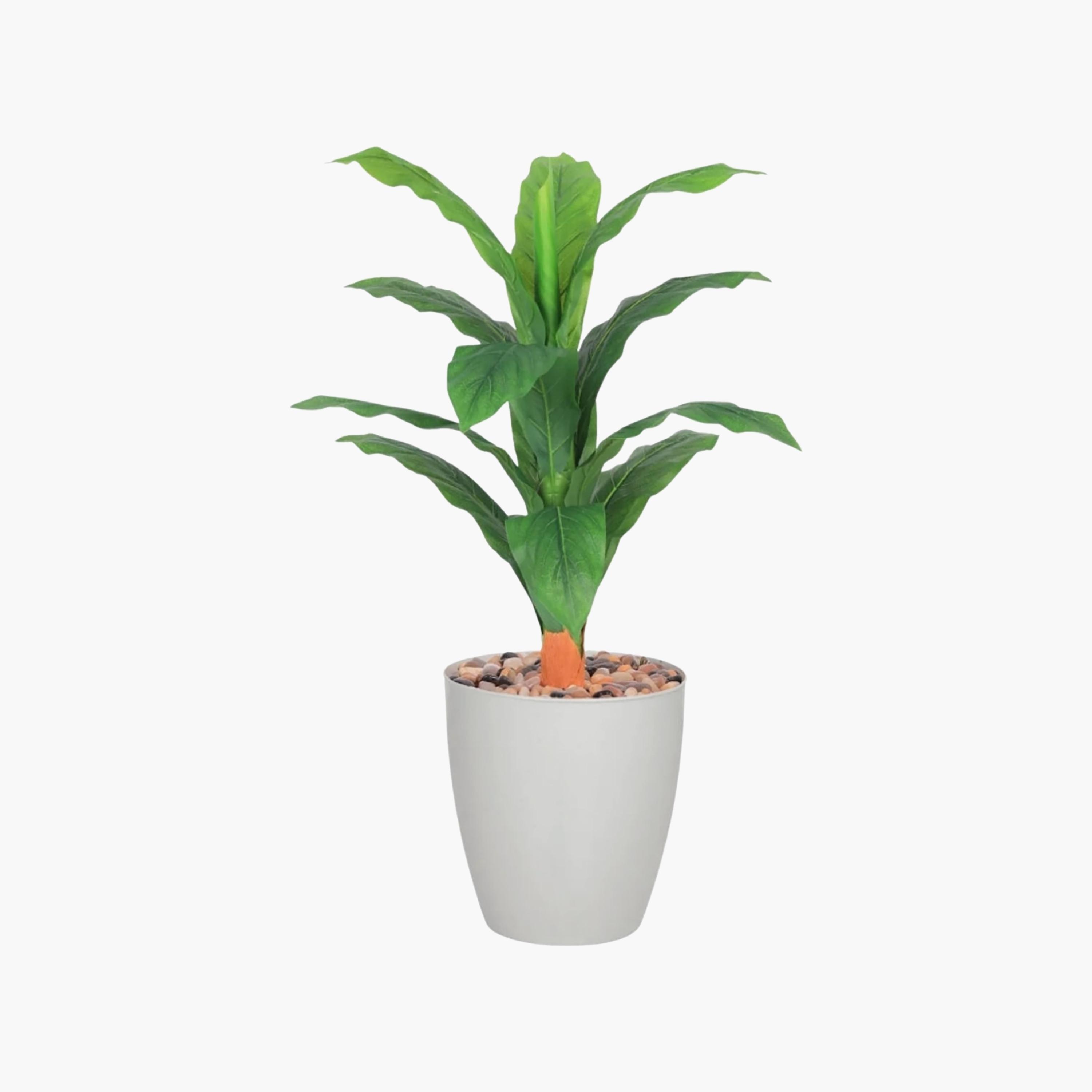 نبتة أوراق صناعية بأصيص من ماريا هومز-household-gardenandoutdoor-artificialflowersandplants-flowers-image-2