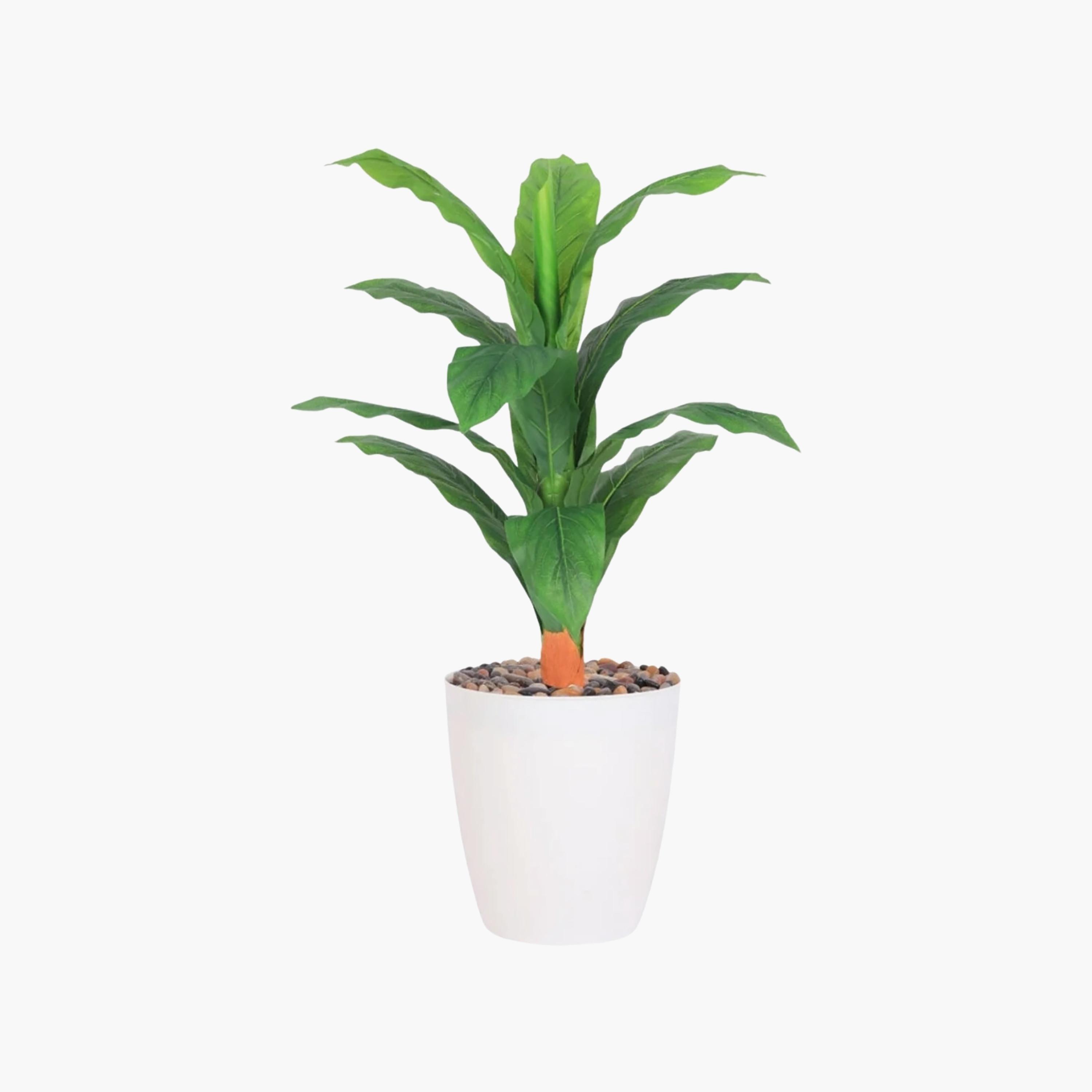 نبتة أوراق صناعية بأصيص من ماريا هومز-household-gardenandoutdoor-artificialflowersandplants-flowers-image-2