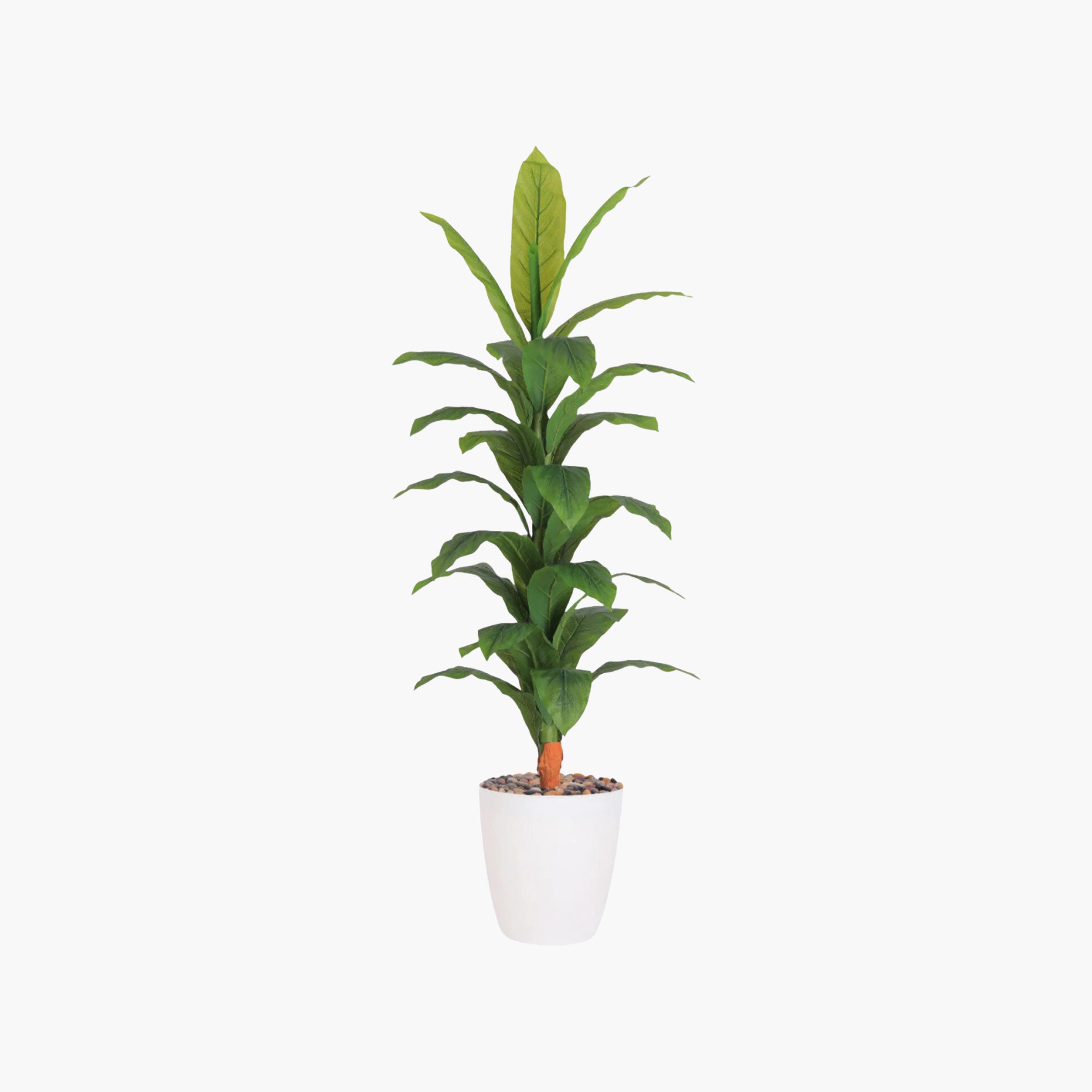 Maria Homes Potted Artificial Banana Plant-household-gardenandoutdoor-artificialflowersandplants-flowers-image-2