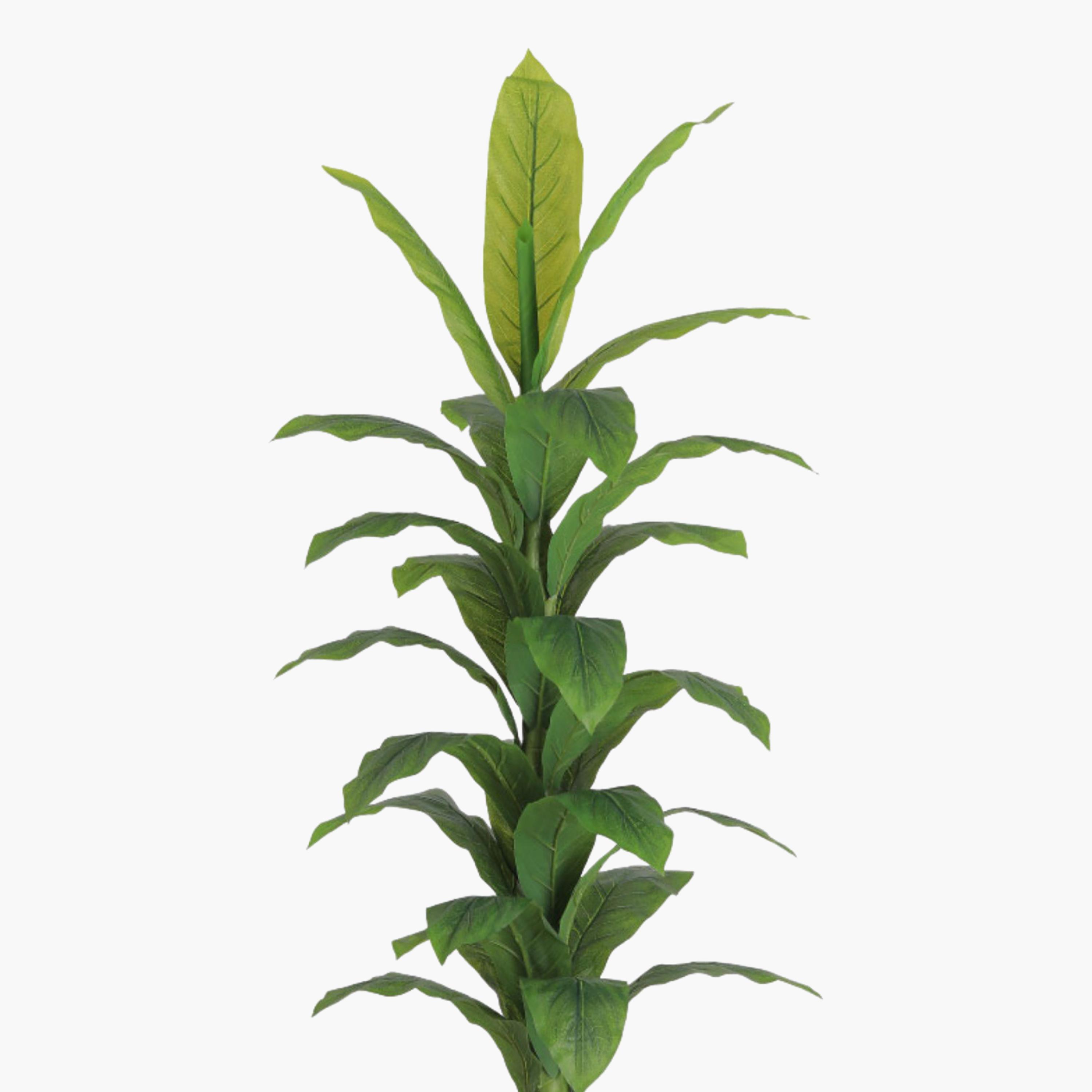 Maria Homes Potted Artificial Banana Plant-household-gardenandoutdoor-artificialflowersandplants-flowers-image-3