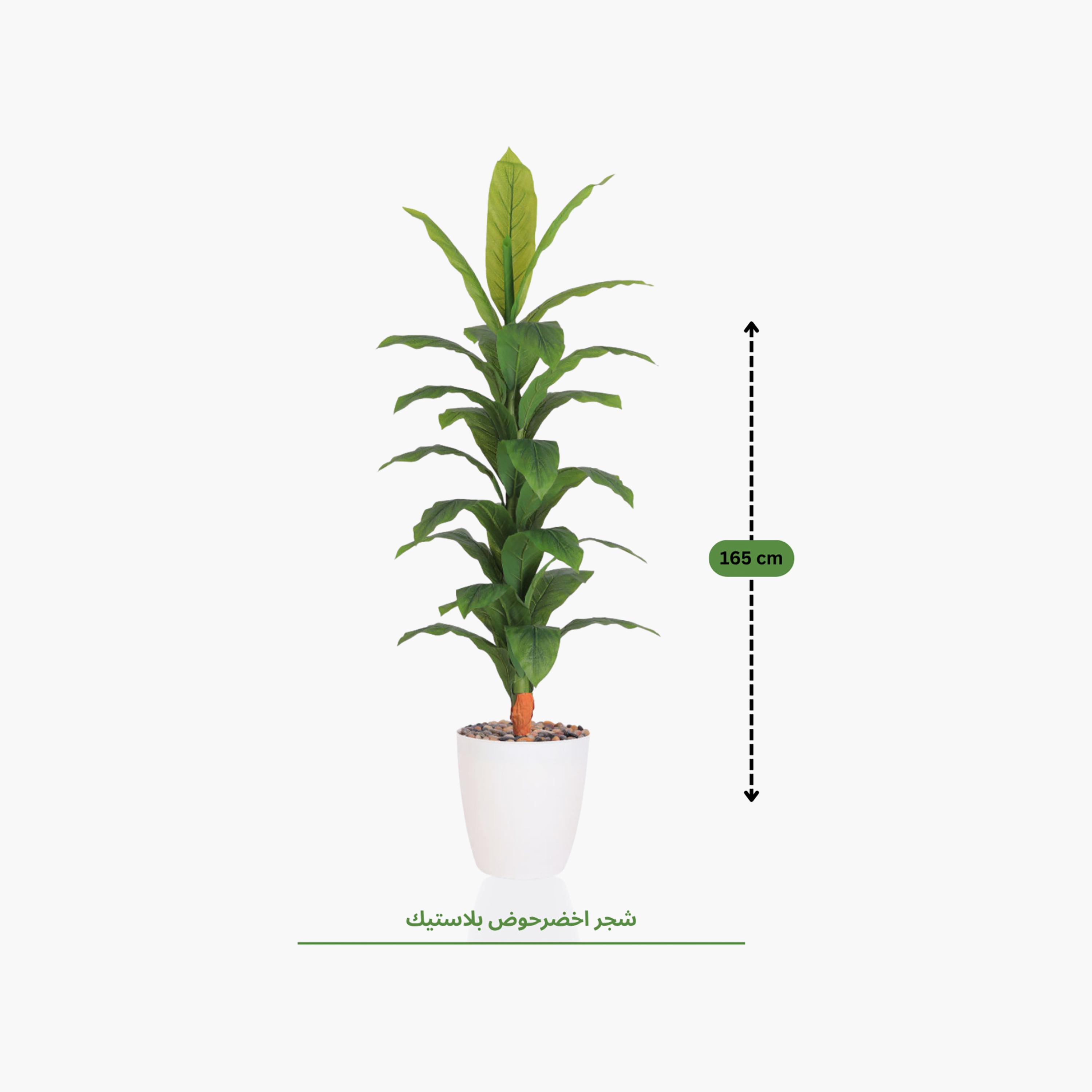 Maria Homes Potted Artificial Banana Plant-household-gardenandoutdoor-artificialflowersandplants-flowers-image-4