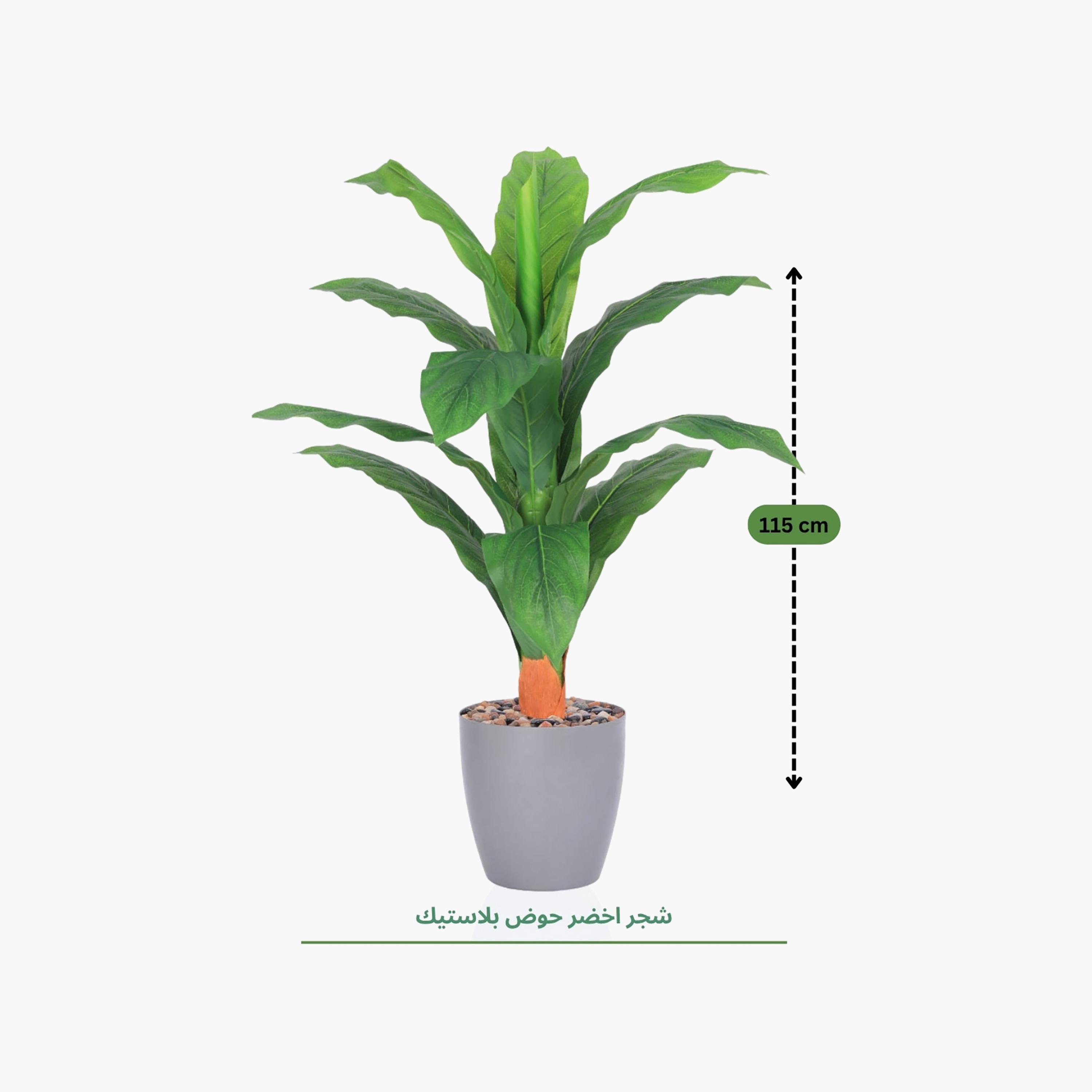 نبتة أوراق صناعية بأصيص من ماريا هومز-household-gardenandoutdoor-artificialflowersandplants-flowers-image-4