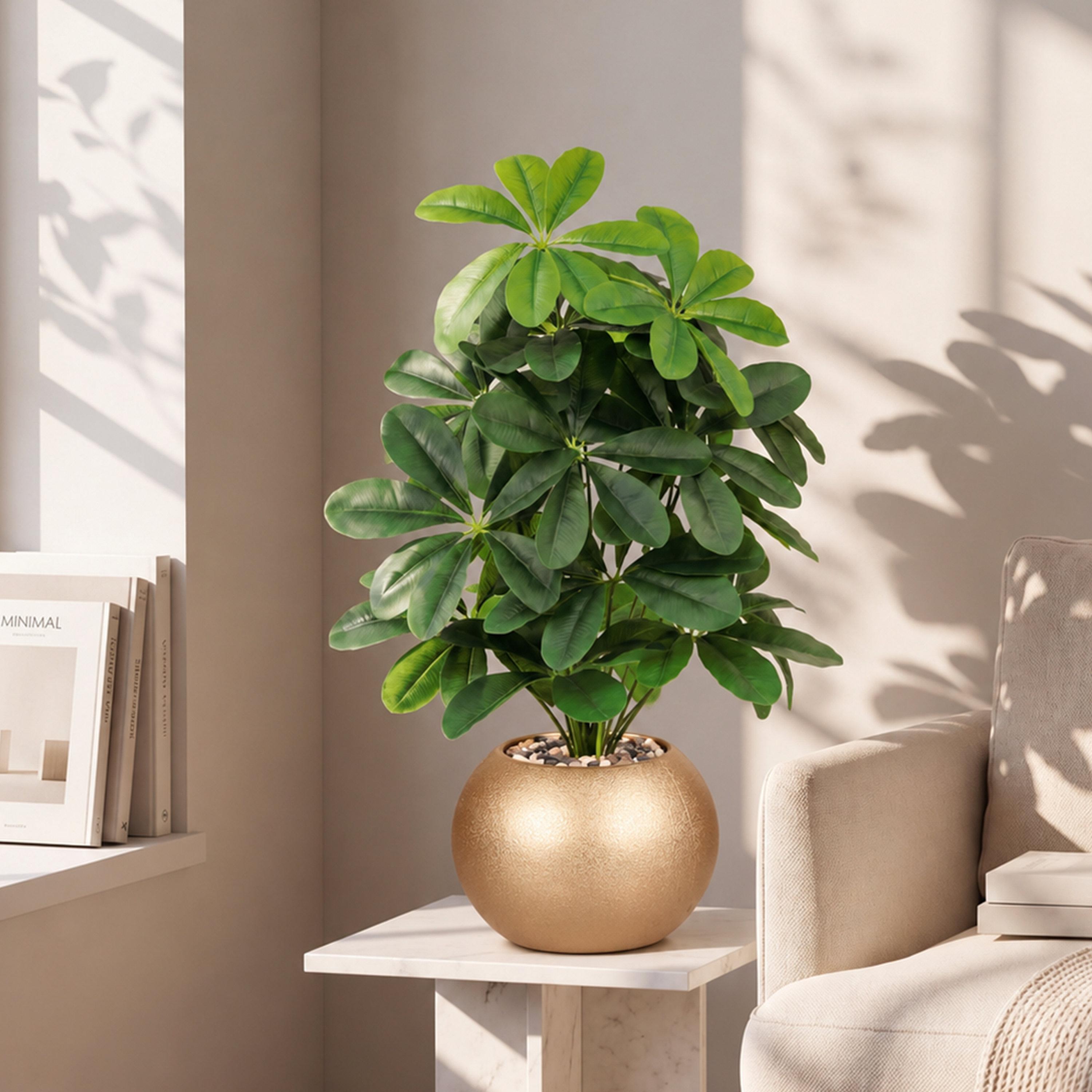 نبتة شيفليرا صناعية بأصيص من ماريا هومز-household-gardenandoutdoor-artificialflowersandplants-flowers-image-1