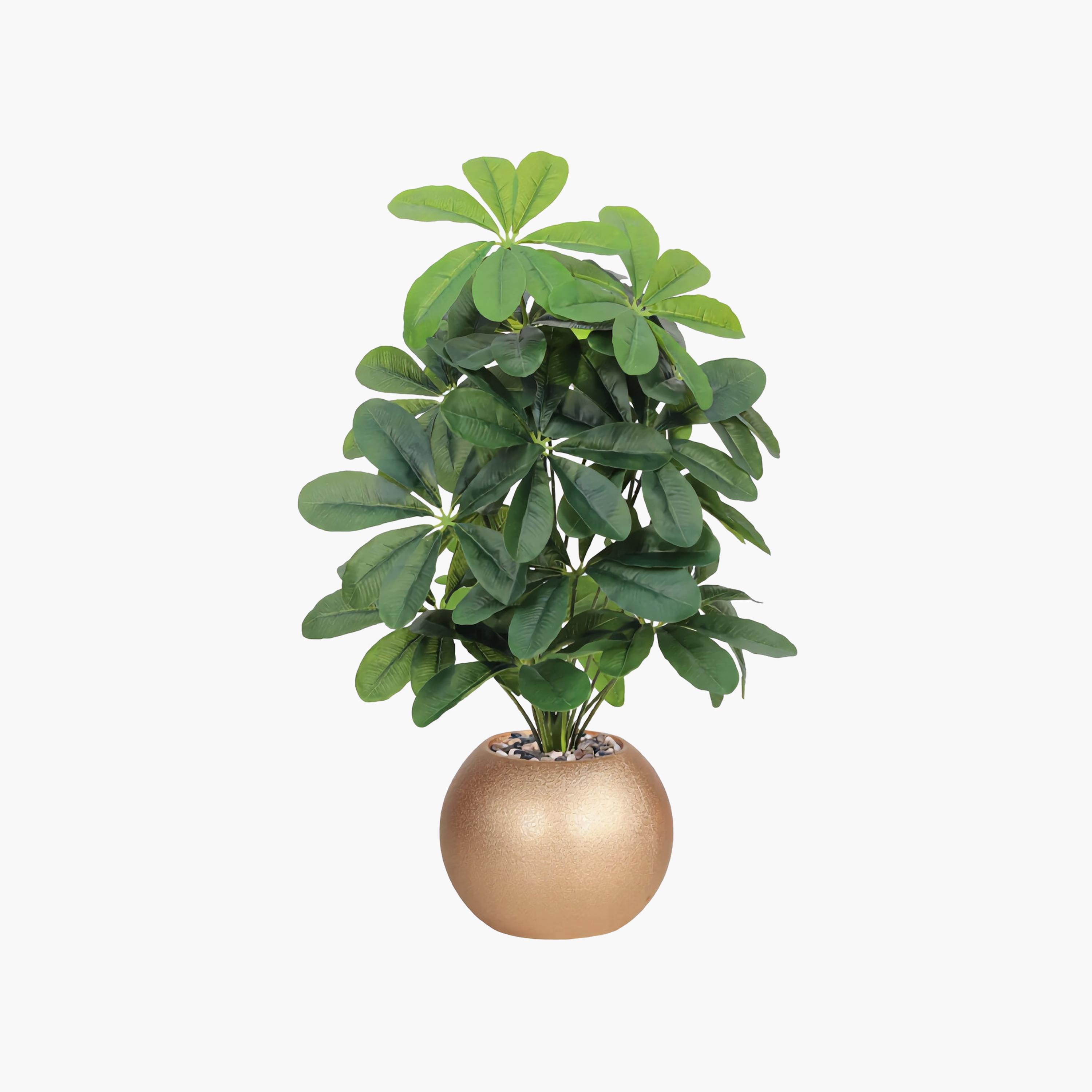 نبتة شيفليرا صناعية بأصيص من ماريا هومز-household-gardenandoutdoor-artificialflowersandplants-flowers-image-2
