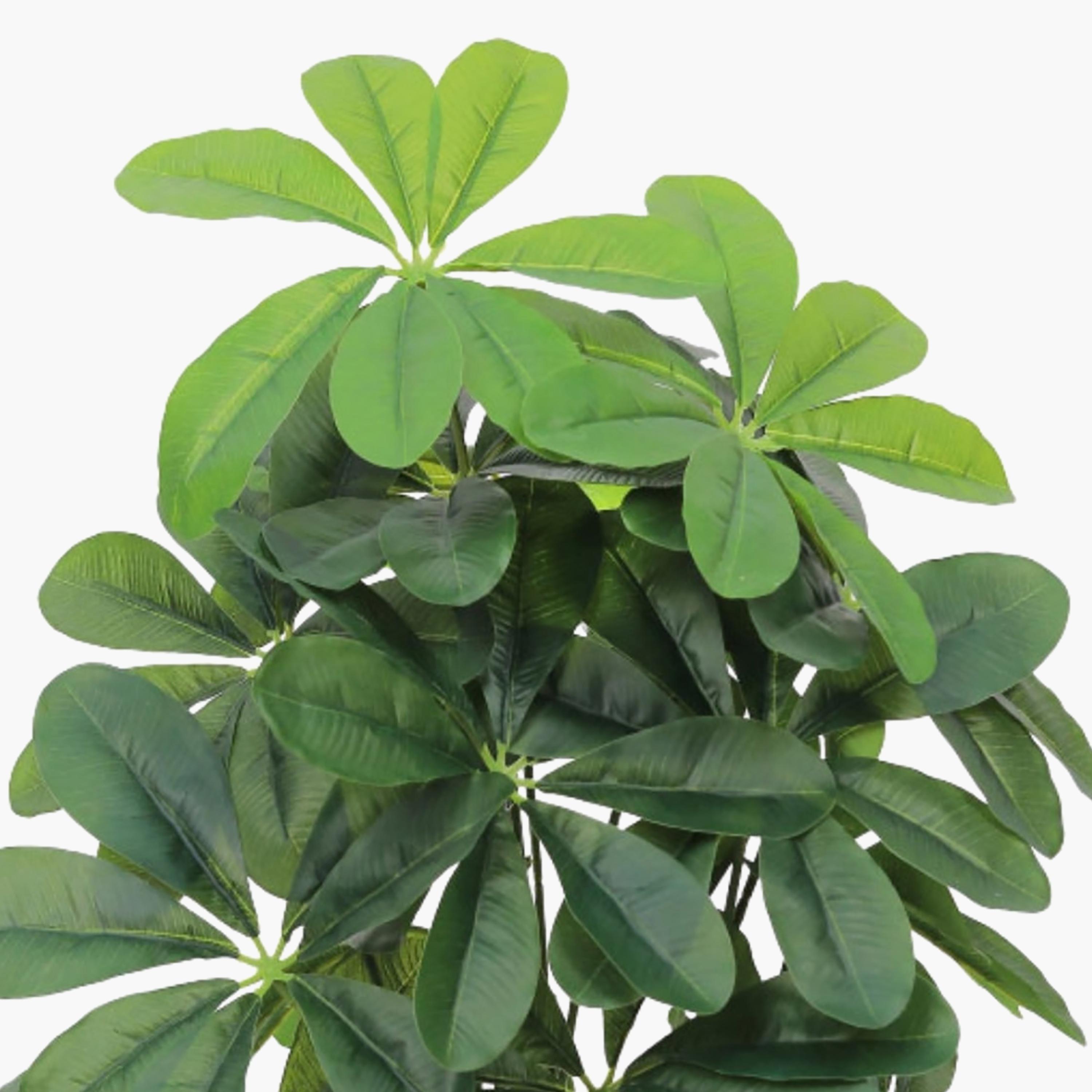 نبتة شيفليرا صناعية بأصيص من ماريا هومز-household-gardenandoutdoor-artificialflowersandplants-flowers-image-3