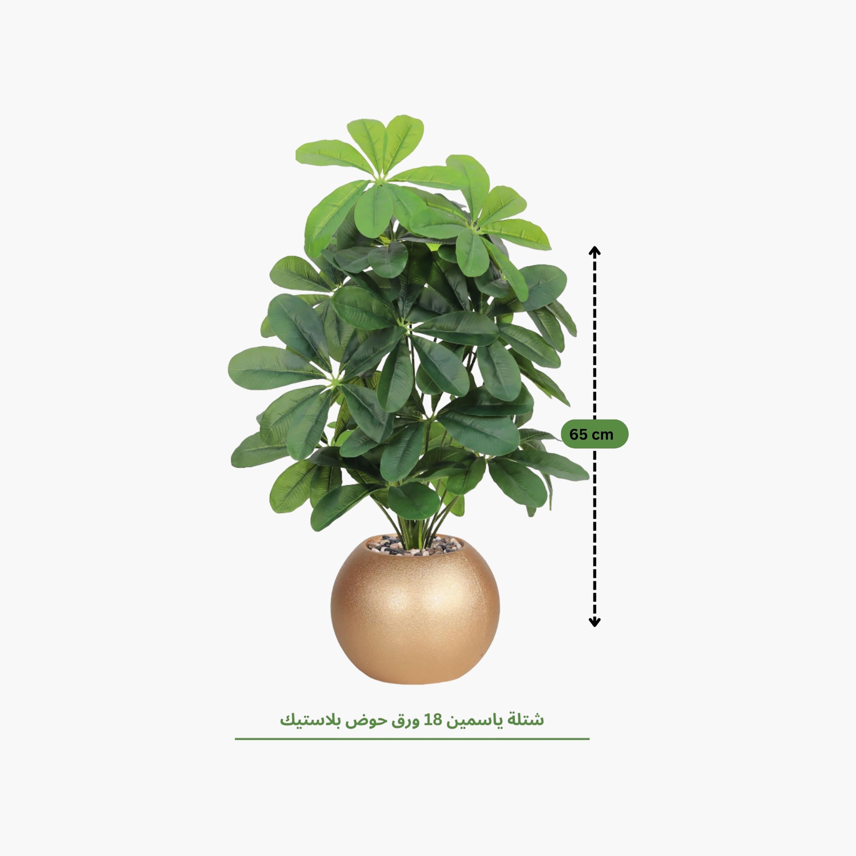 نبتة شيفليرا صناعية بأصيص من ماريا هومز-household-gardenandoutdoor-artificialflowersandplants-flowers-image-4