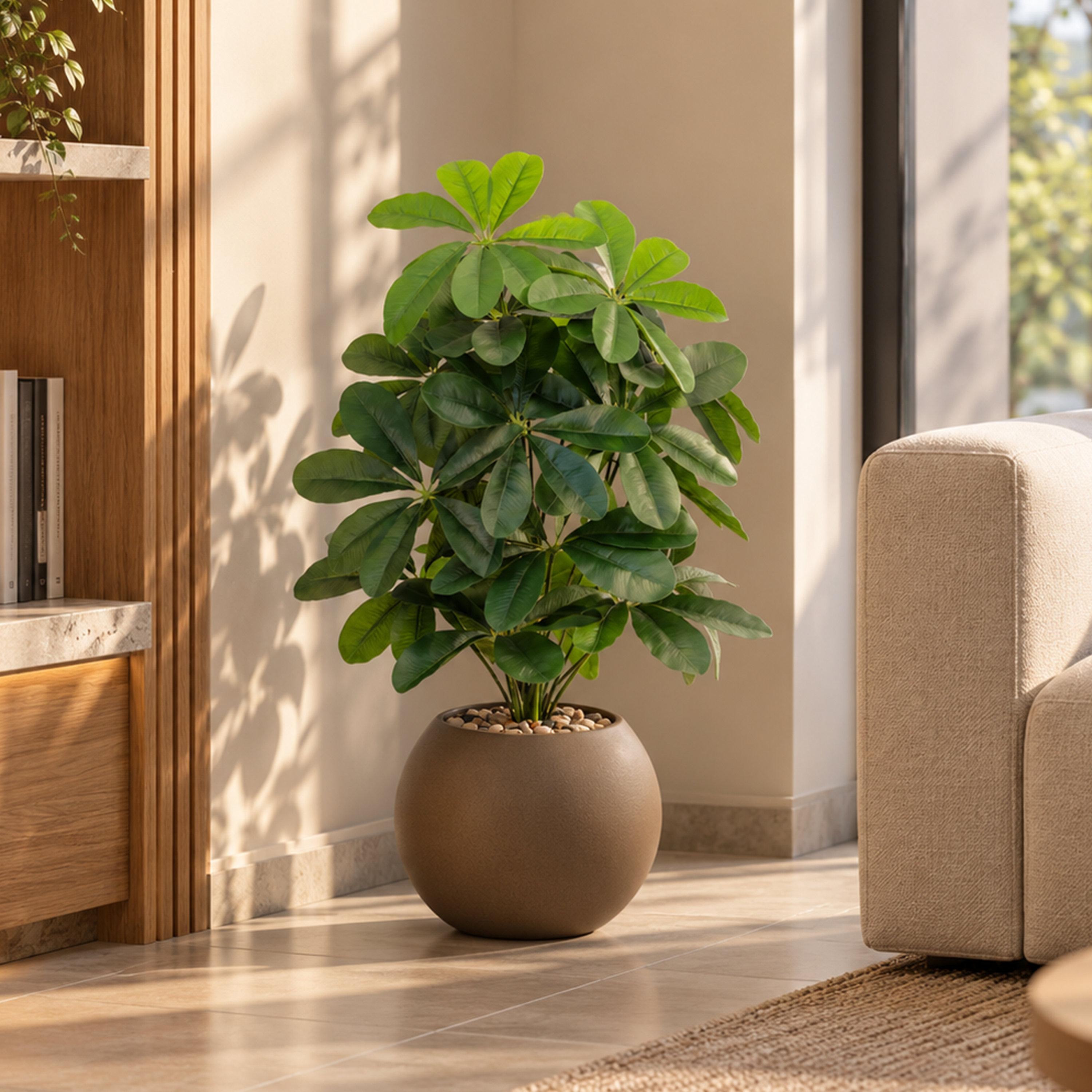 Maria Homes Potted Artificial Schefflera Plant-household-gardenandoutdoor-artificialflowersandplants-flowers-image-1