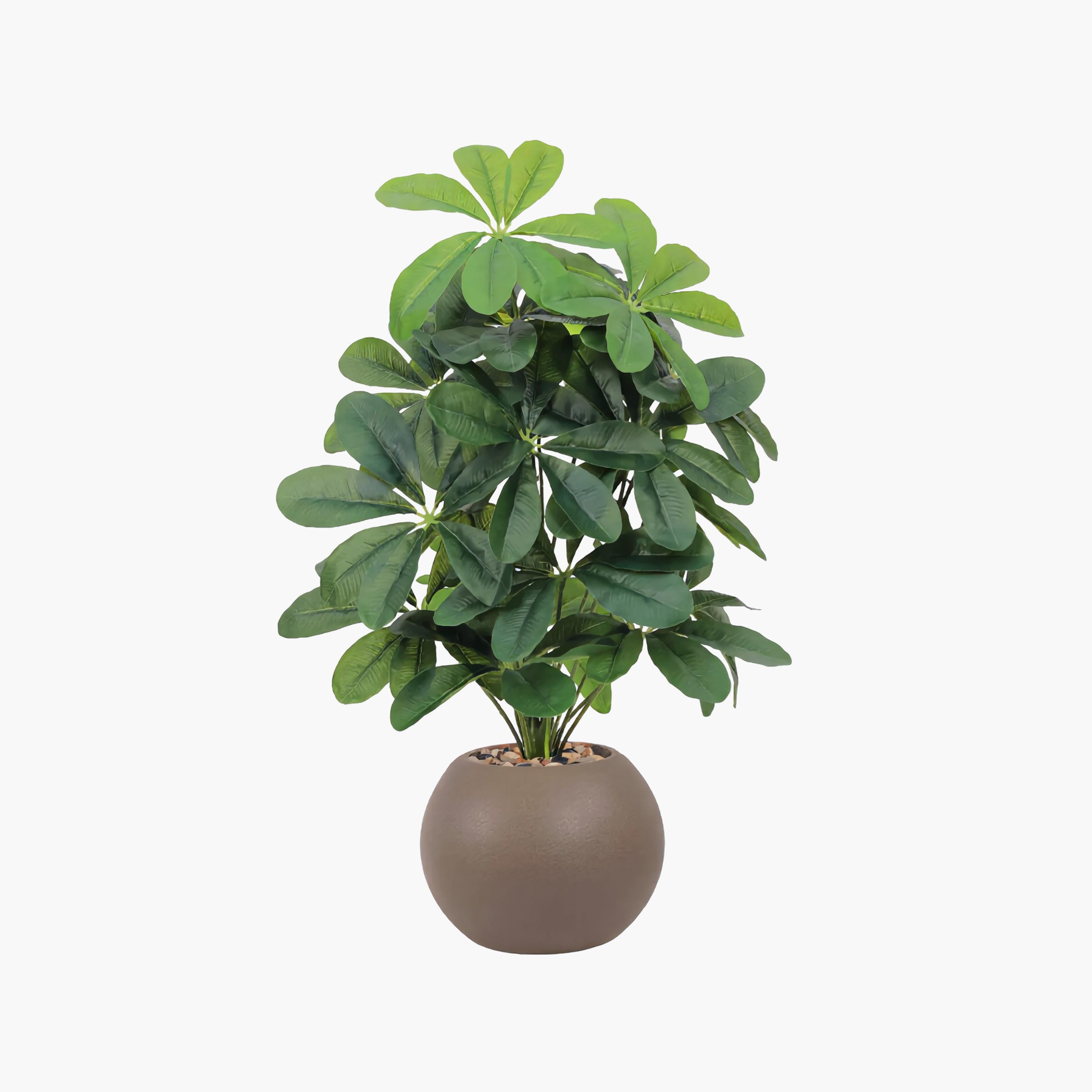 Maria Homes Potted Artificial Schefflera Plant-household-gardenandoutdoor-artificialflowersandplants-flowers-image-2