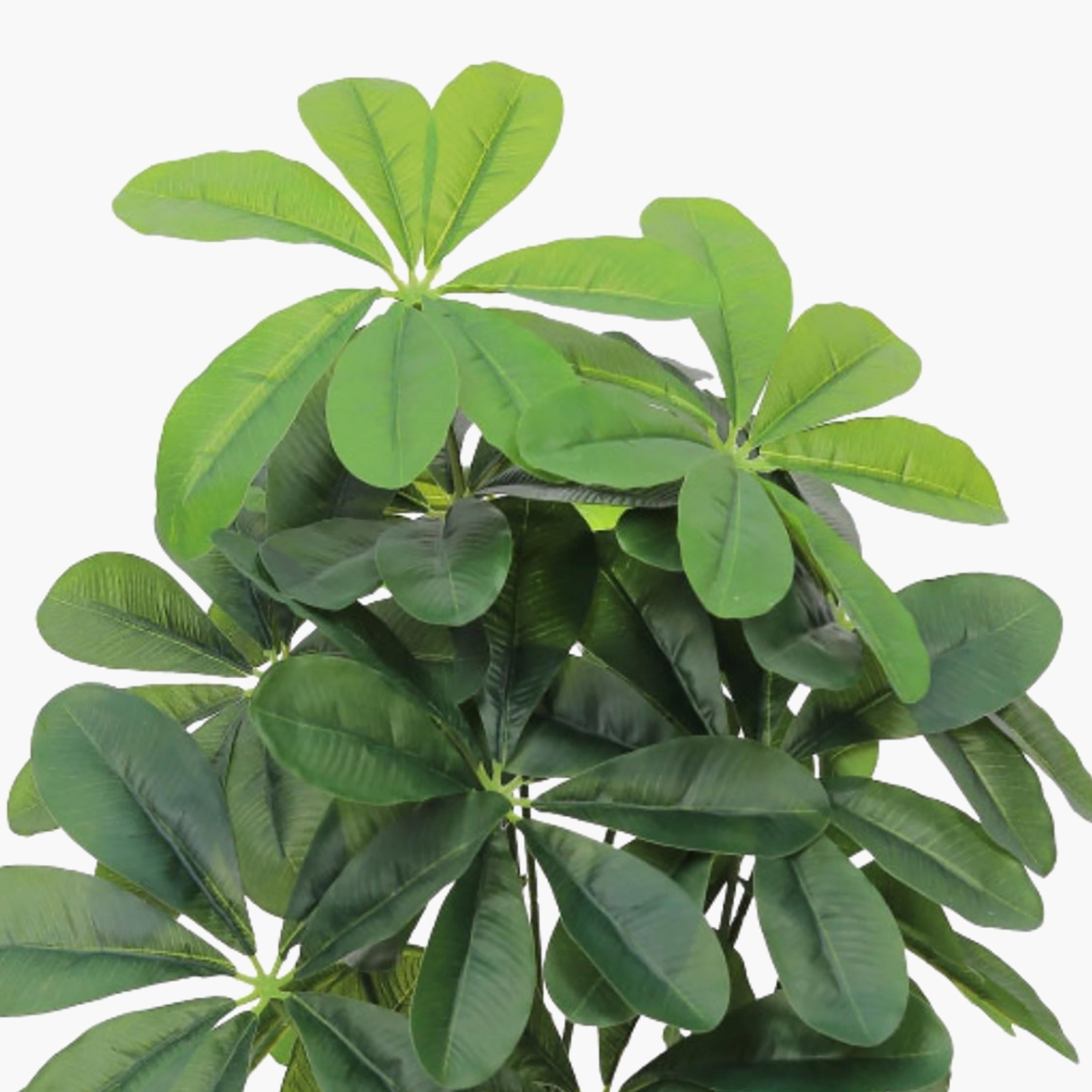 Maria Homes Potted Artificial Schefflera Plant-household-gardenandoutdoor-artificialflowersandplants-flowers-image-3