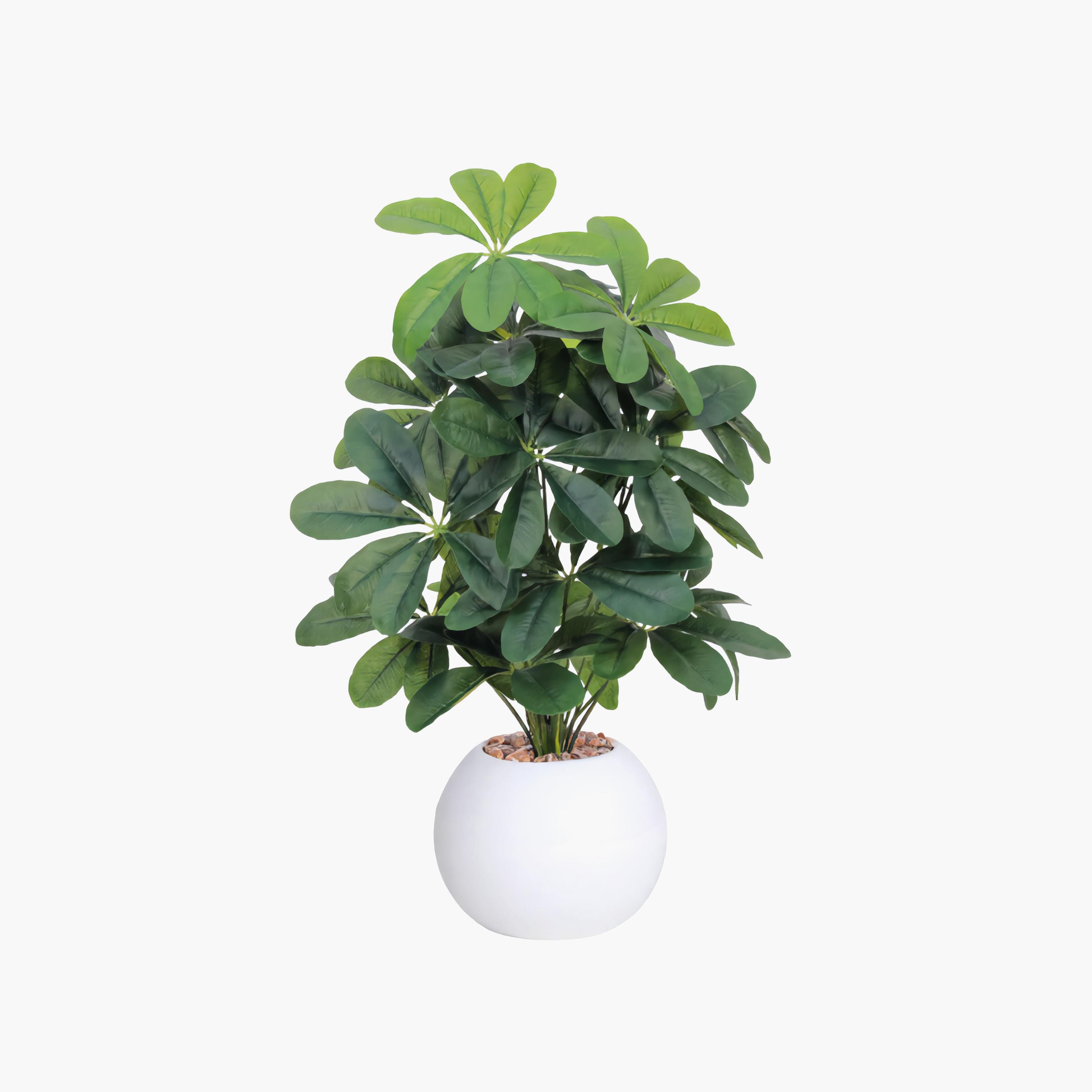 نبتة شيفليرا صناعية بأصيص من ماريا هومز-household-gardenandoutdoor-artificialflowersandplants-flowers-image-2