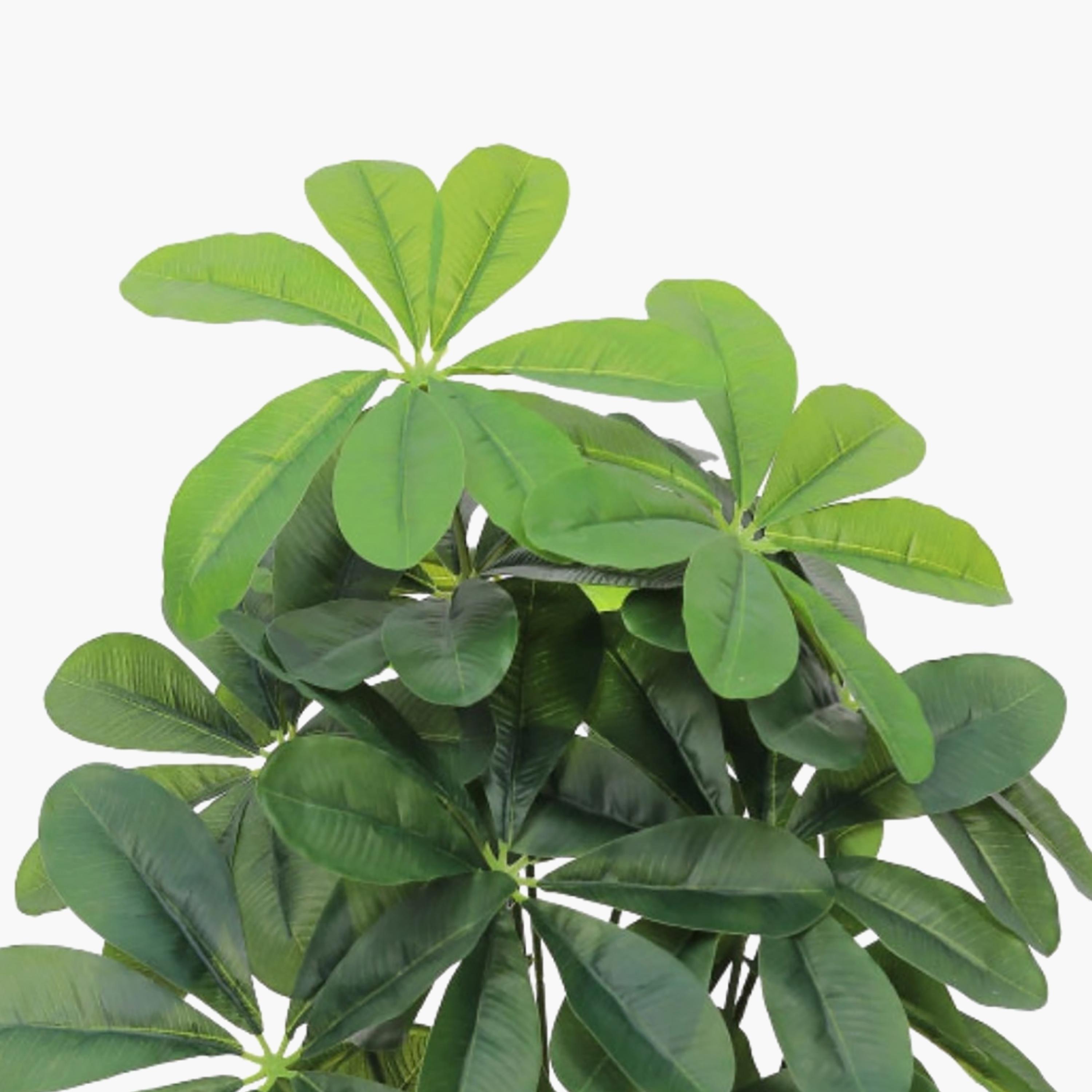 نبتة شيفليرا صناعية بأصيص من ماريا هومز-household-gardenandoutdoor-artificialflowersandplants-flowers-image-3