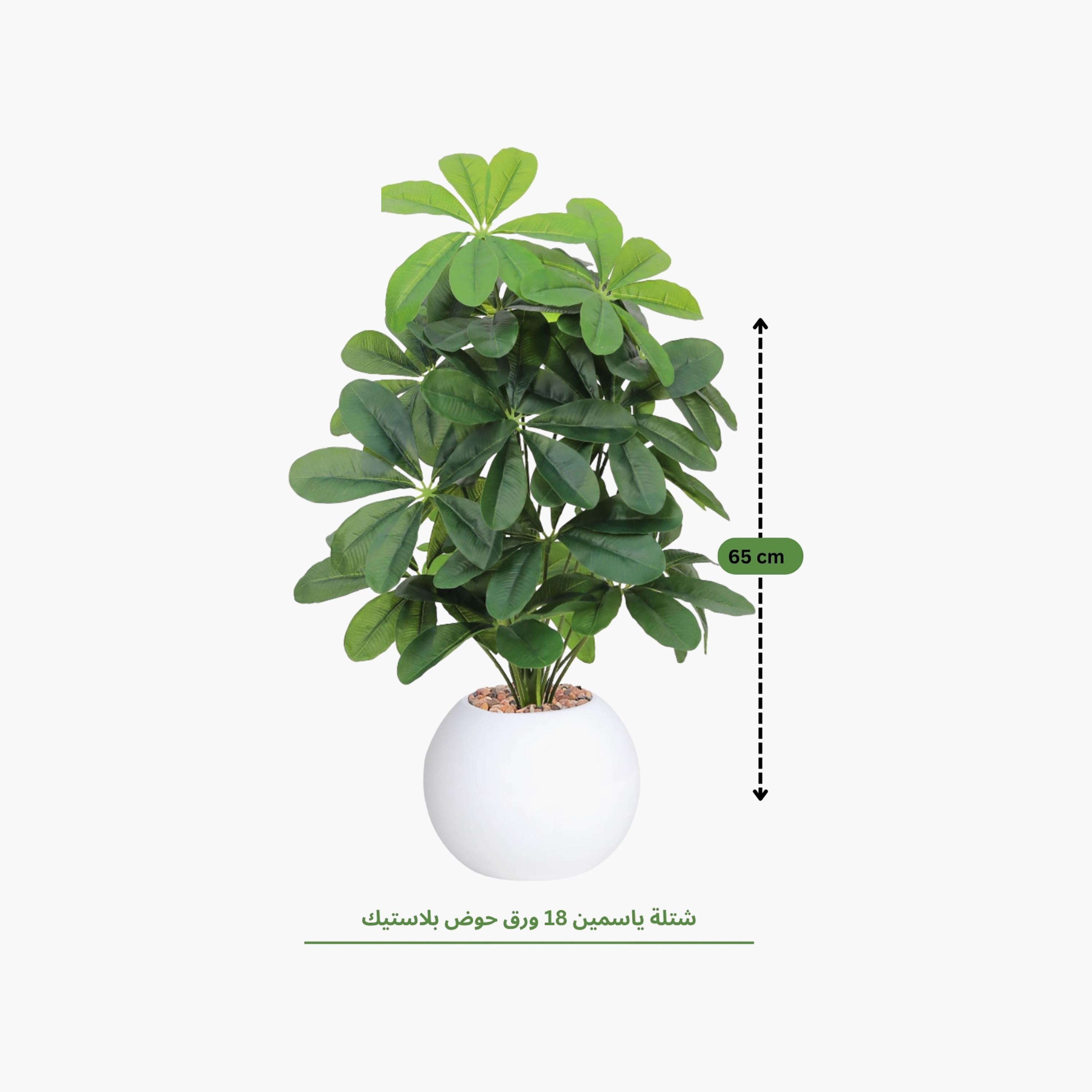 نبتة شيفليرا صناعية بأصيص من ماريا هومز-household-gardenandoutdoor-artificialflowersandplants-flowers-image-4