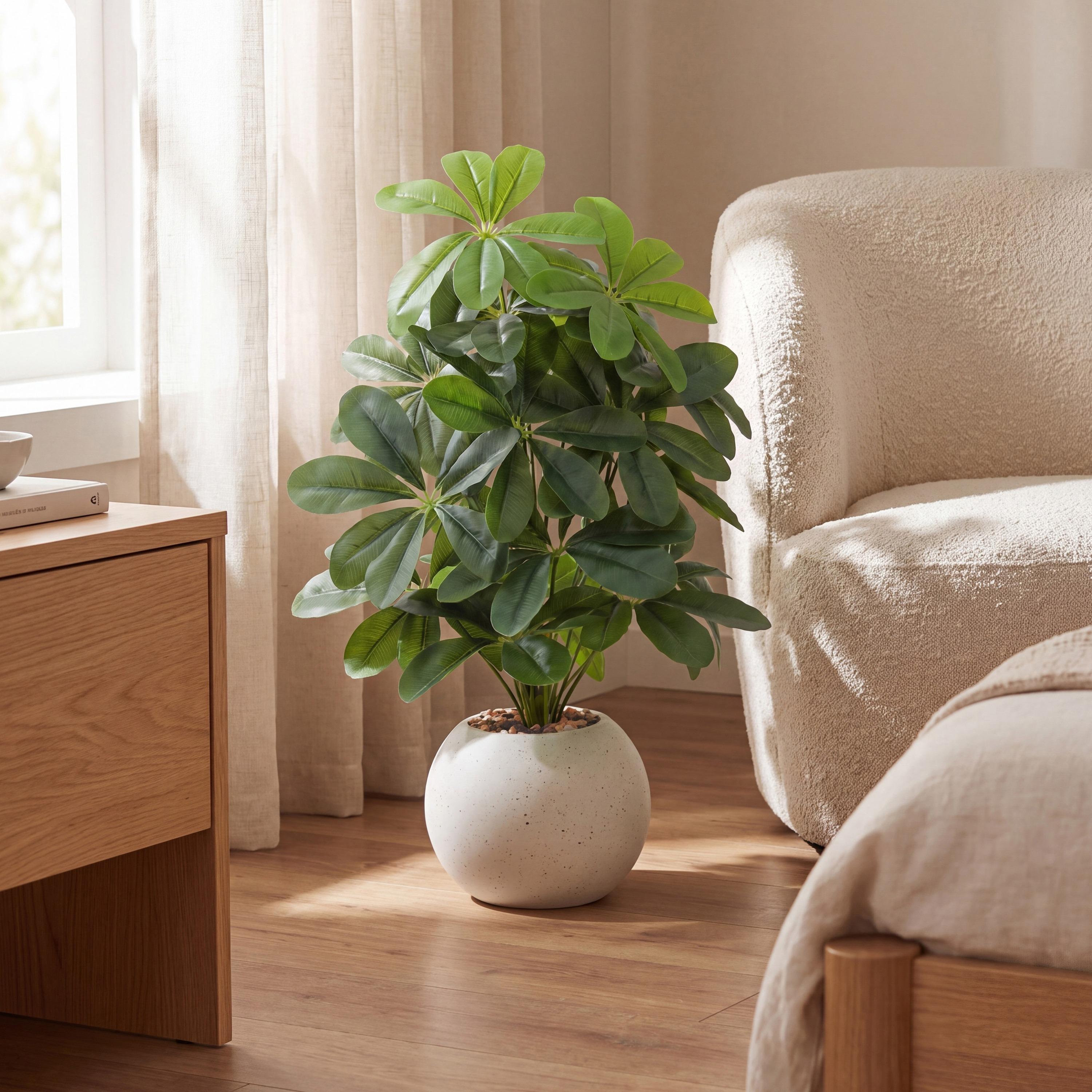 نبتة شيفليرا صناعية بأصيص من ماريا هومز-household-gardenandoutdoor-artificialflowersandplants-flowers-image-1