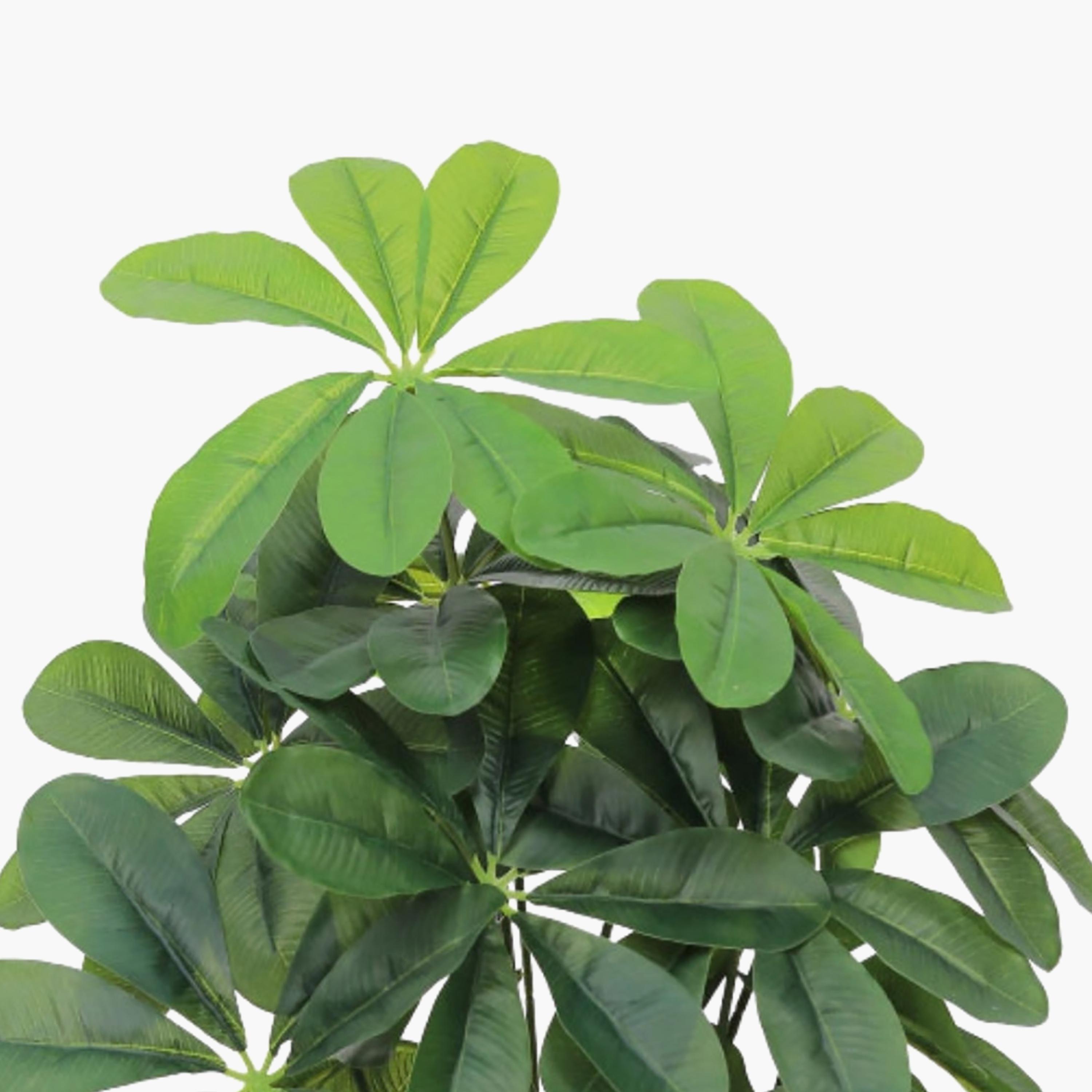 نبتة شيفليرا صناعية بأصيص من ماريا هومز-household-gardenandoutdoor-artificialflowersandplants-flowers-image-3