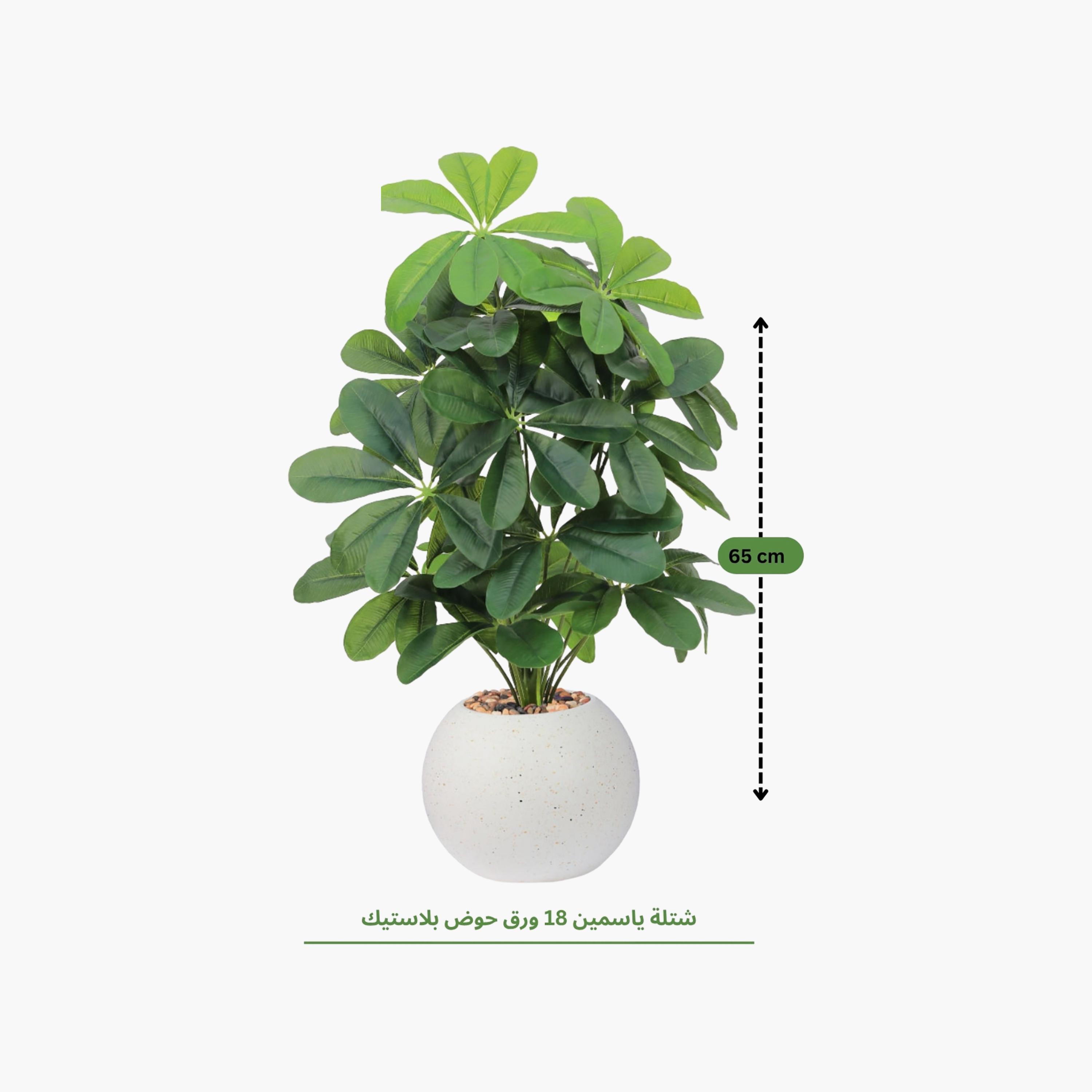 نبتة شيفليرا صناعية بأصيص من ماريا هومز-household-gardenandoutdoor-artificialflowersandplants-flowers-image-4
