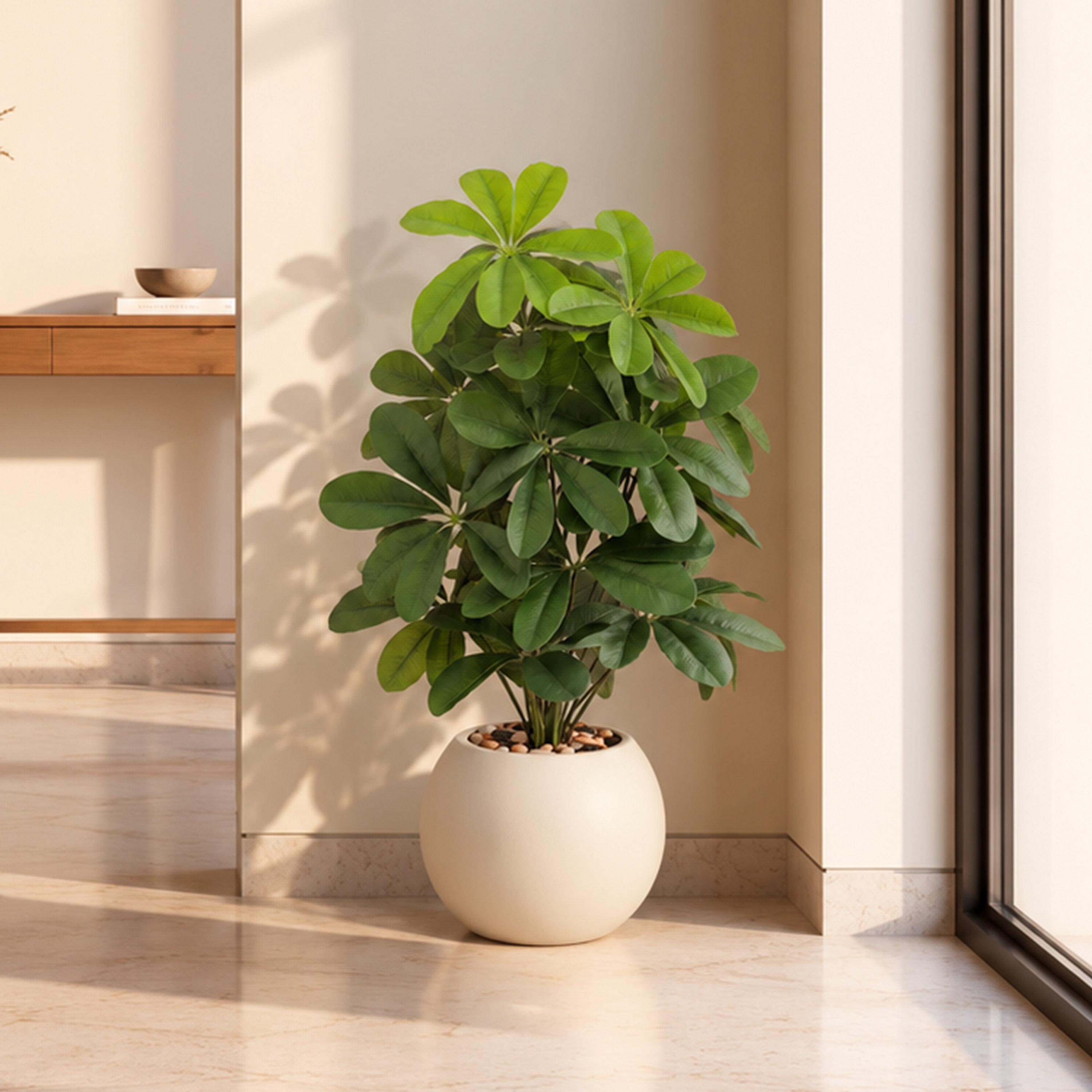 نبتة شيفليرا صناعية بأصيص من ماريا هومز-household-gardenandoutdoor-artificialflowersandplants-flowers-image-1