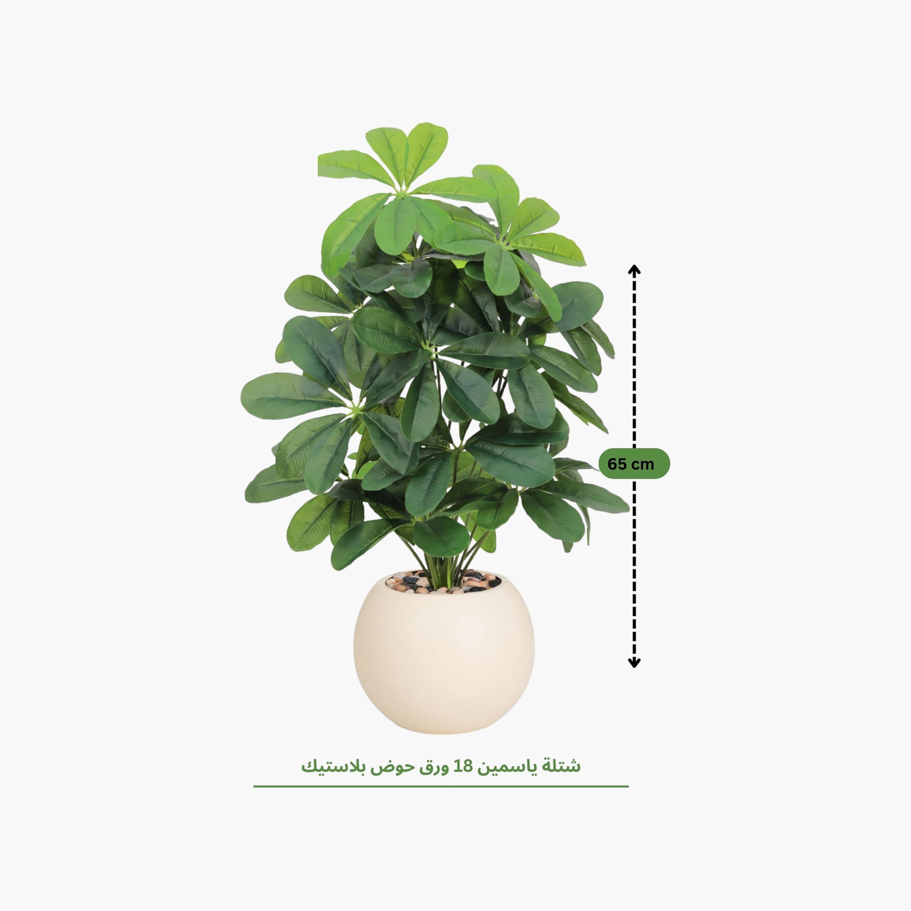 نبتة شيفليرا صناعية بأصيص من ماريا هومز-household-gardenandoutdoor-artificialflowersandplants-flowers-image-4