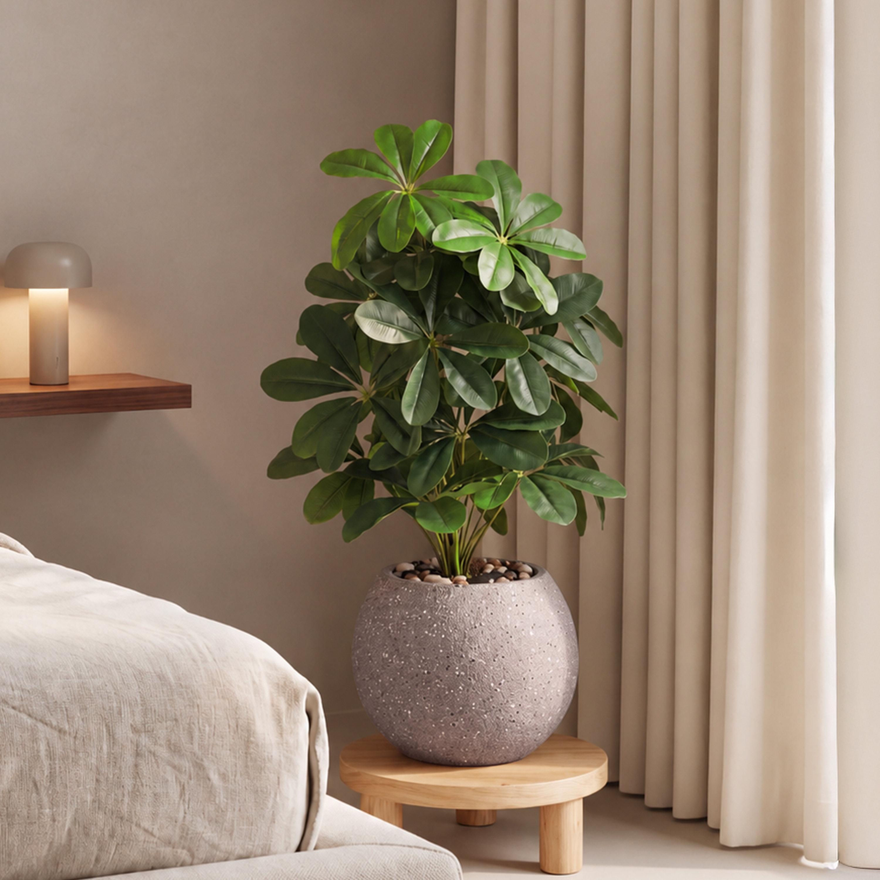 نبتة شيفليرا صناعية بأصيص من ماريا هومز-household-gardenandoutdoor-artificialflowersandplants-flowers-image-1