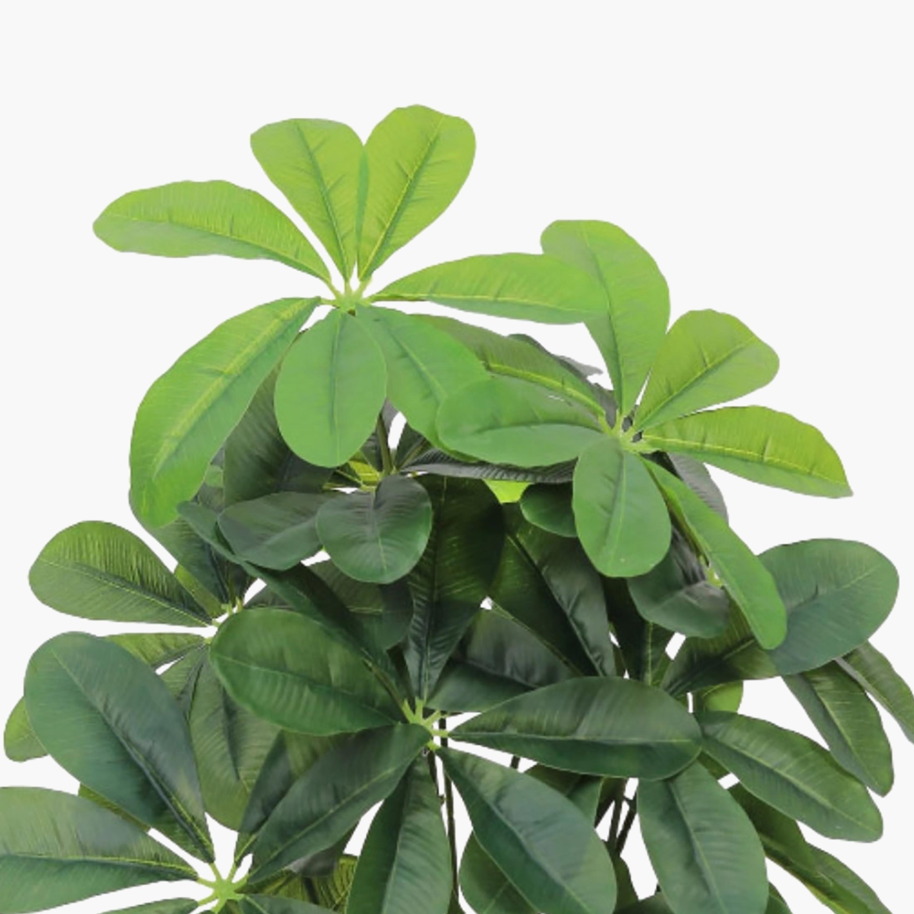 نبتة شيفليرا صناعية بأصيص من ماريا هومز-household-gardenandoutdoor-artificialflowersandplants-flowers-image-3