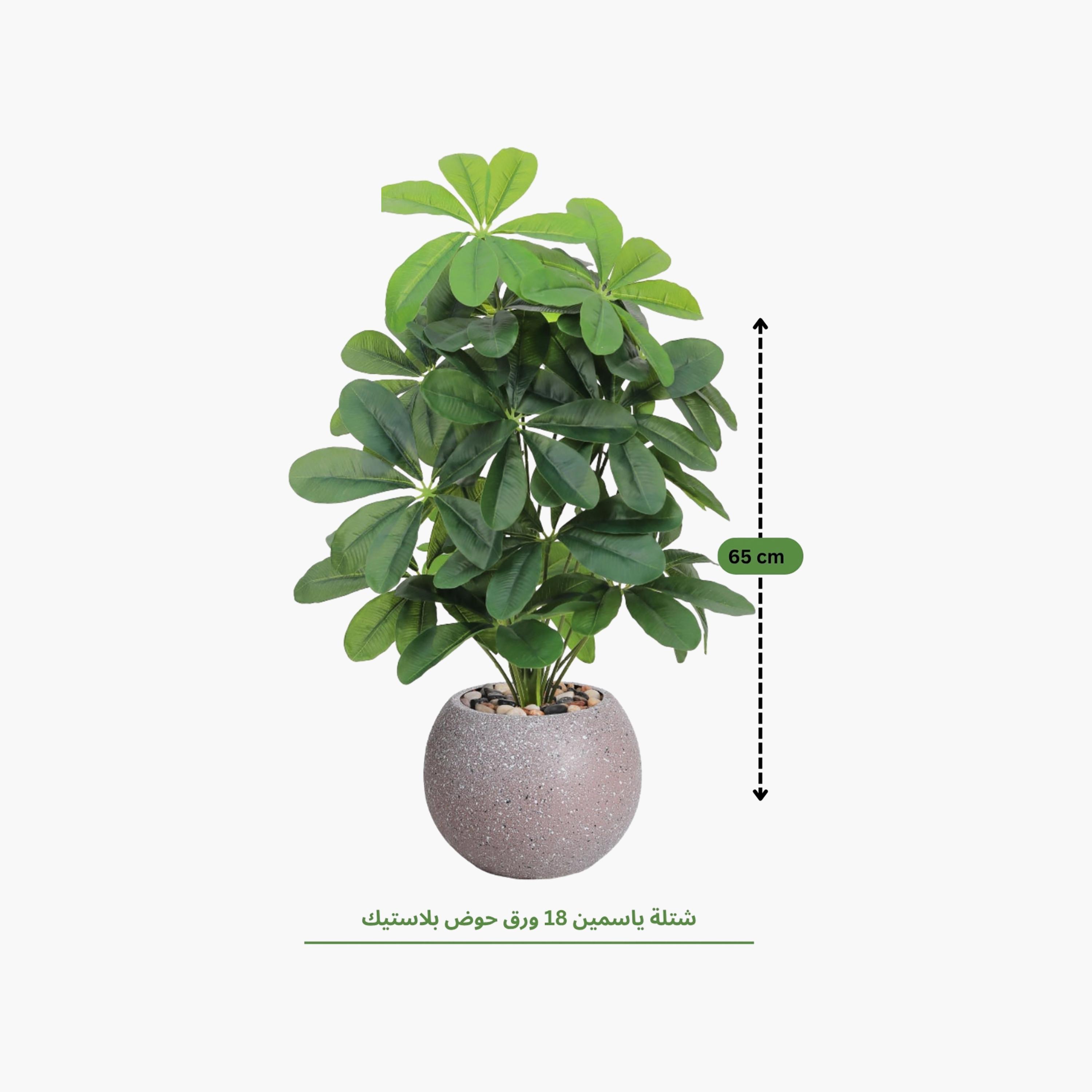 نبتة شيفليرا صناعية بأصيص من ماريا هومز-household-gardenandoutdoor-artificialflowersandplants-flowers-image-4