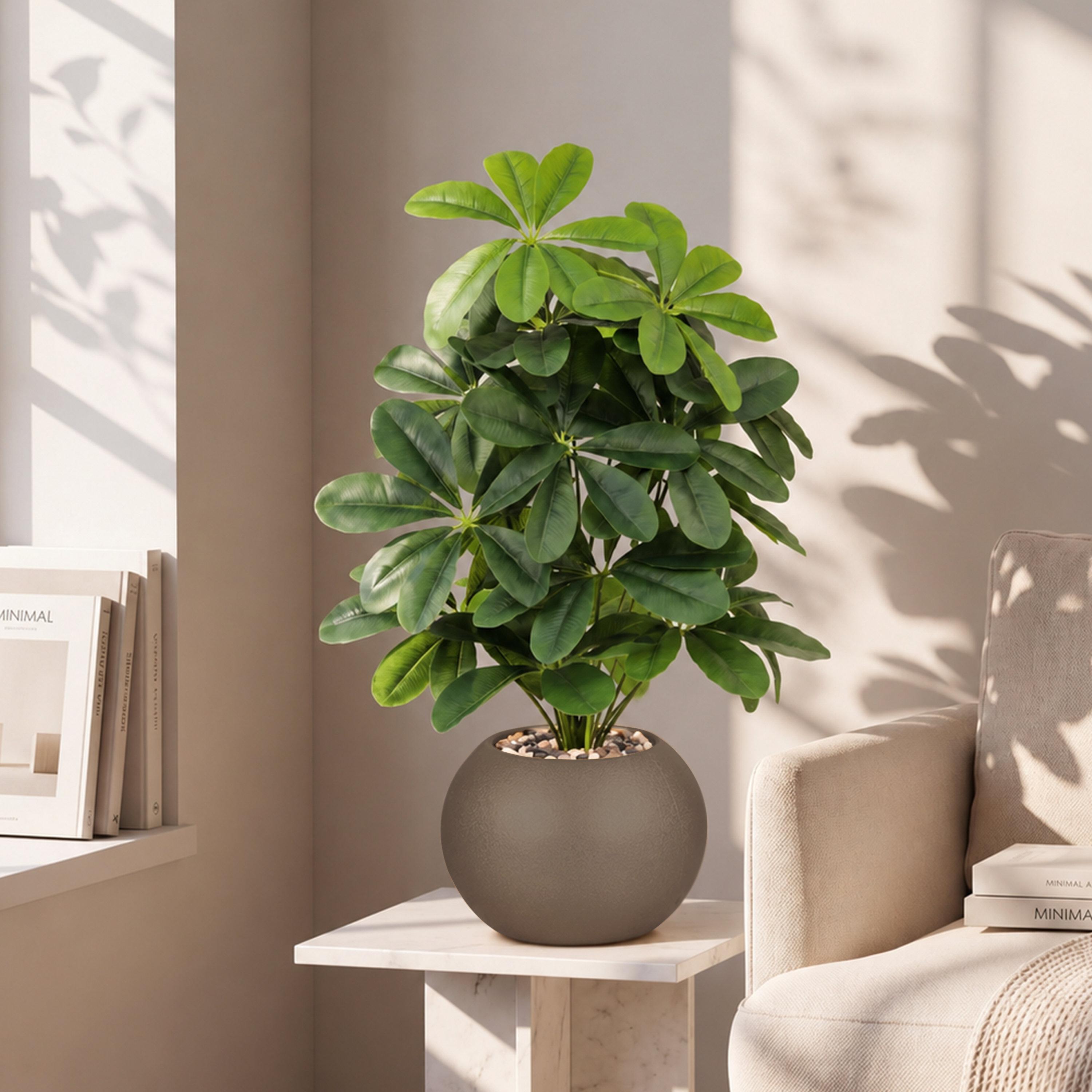 Maria Homes Potted Artificial Schefflera Plant-household-gardenandoutdoor-artificialflowersandplants-flowers-image-1