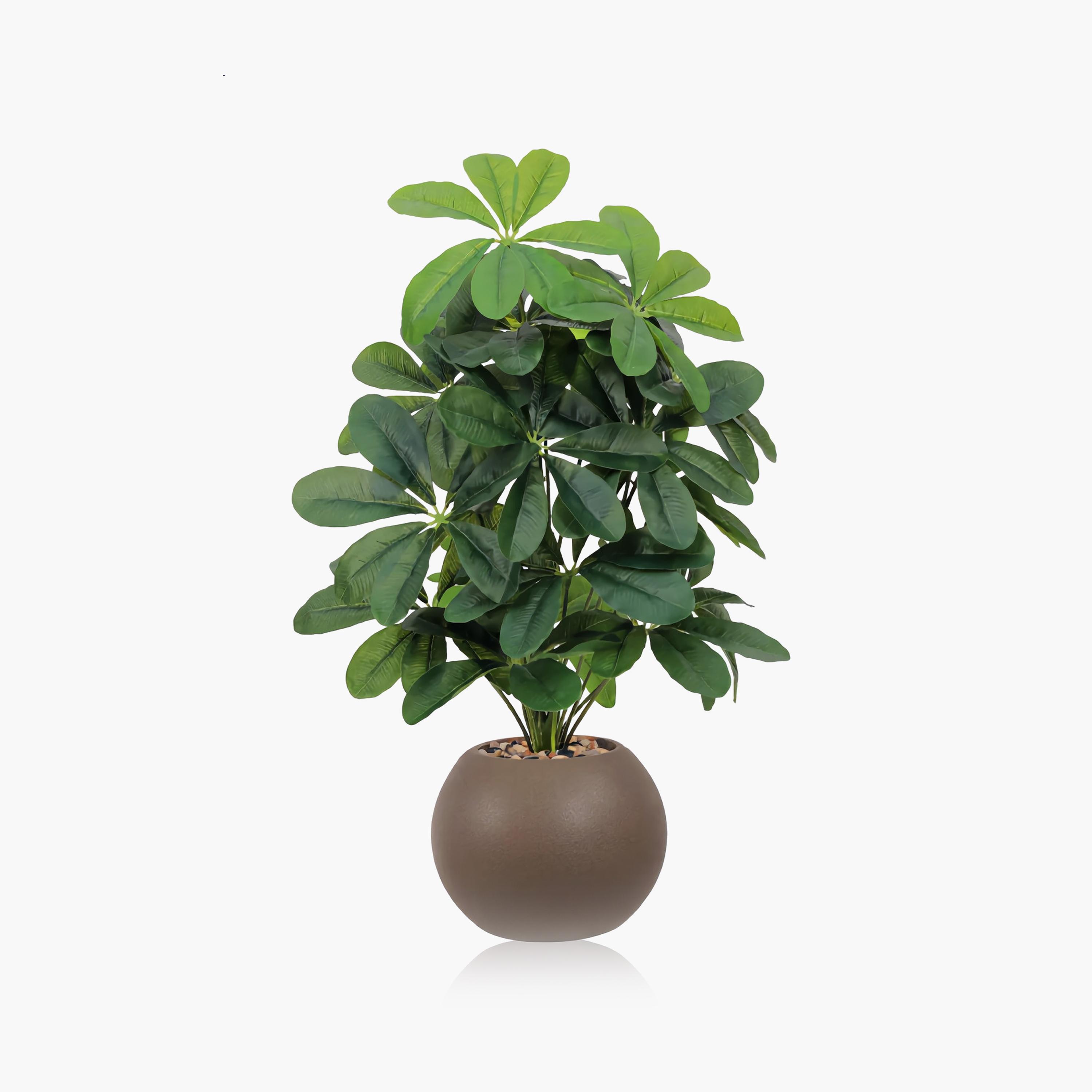 Maria Homes Potted Artificial Schefflera Plant-household-gardenandoutdoor-artificialflowersandplants-flowers-image-2