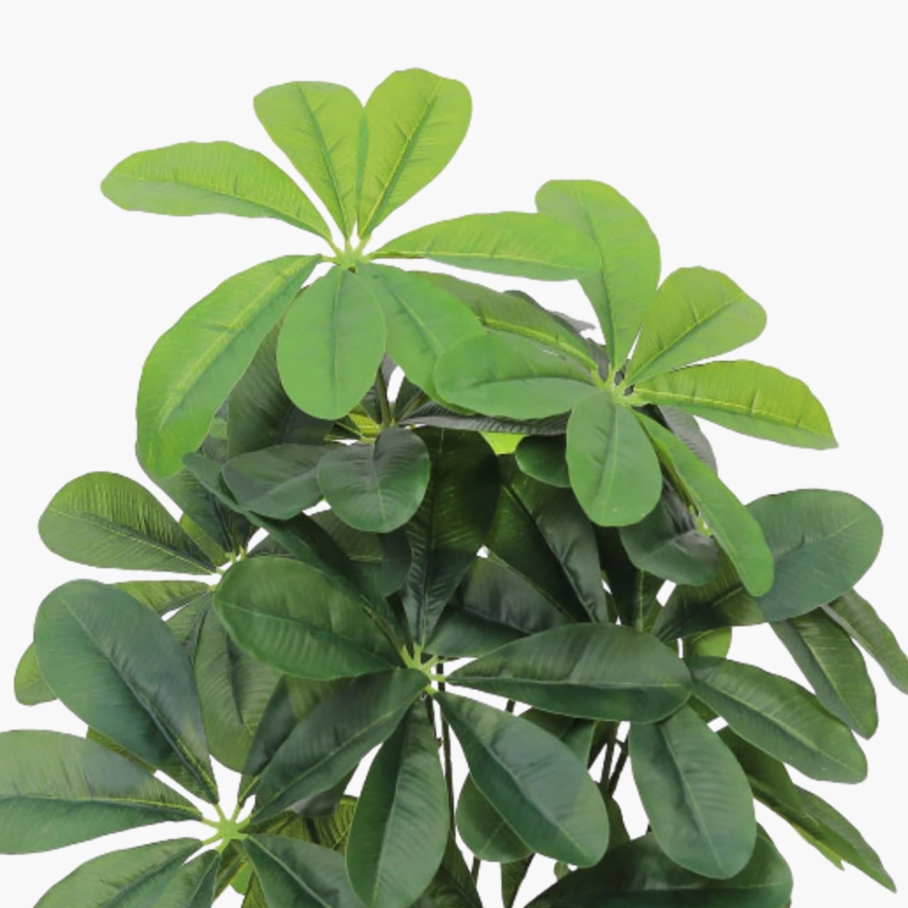 Maria Homes Potted Artificial Schefflera Plant-household-gardenandoutdoor-artificialflowersandplants-flowers-image-3
