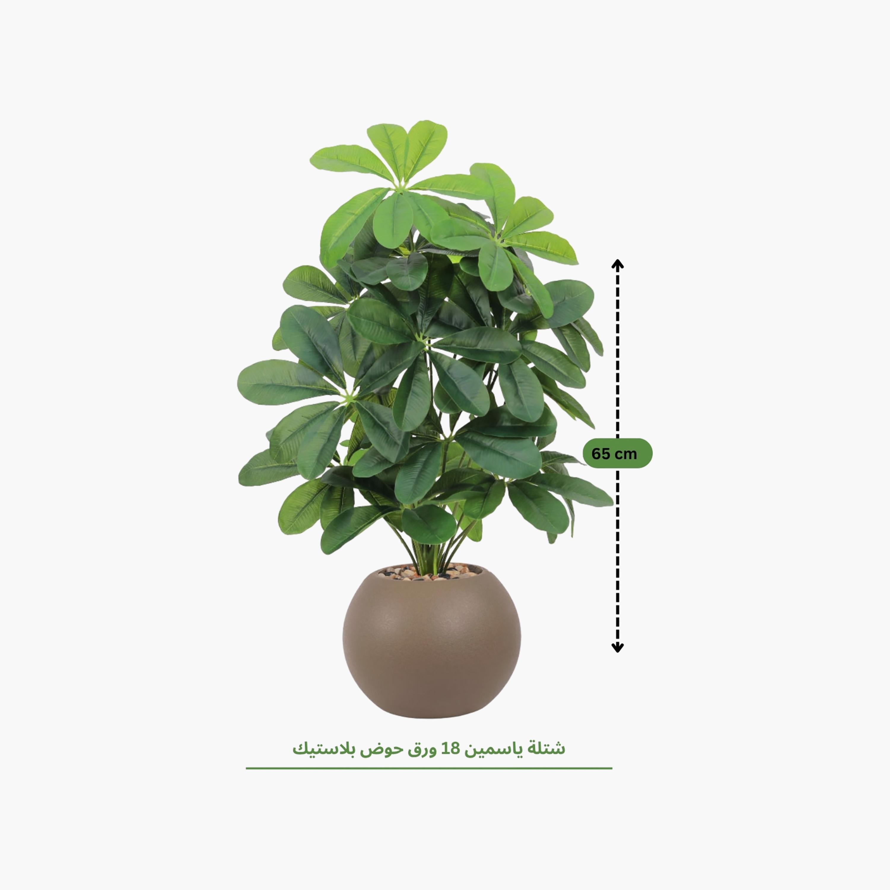 Maria Homes Potted Artificial Schefflera Plant-household-gardenandoutdoor-artificialflowersandplants-flowers-image-4