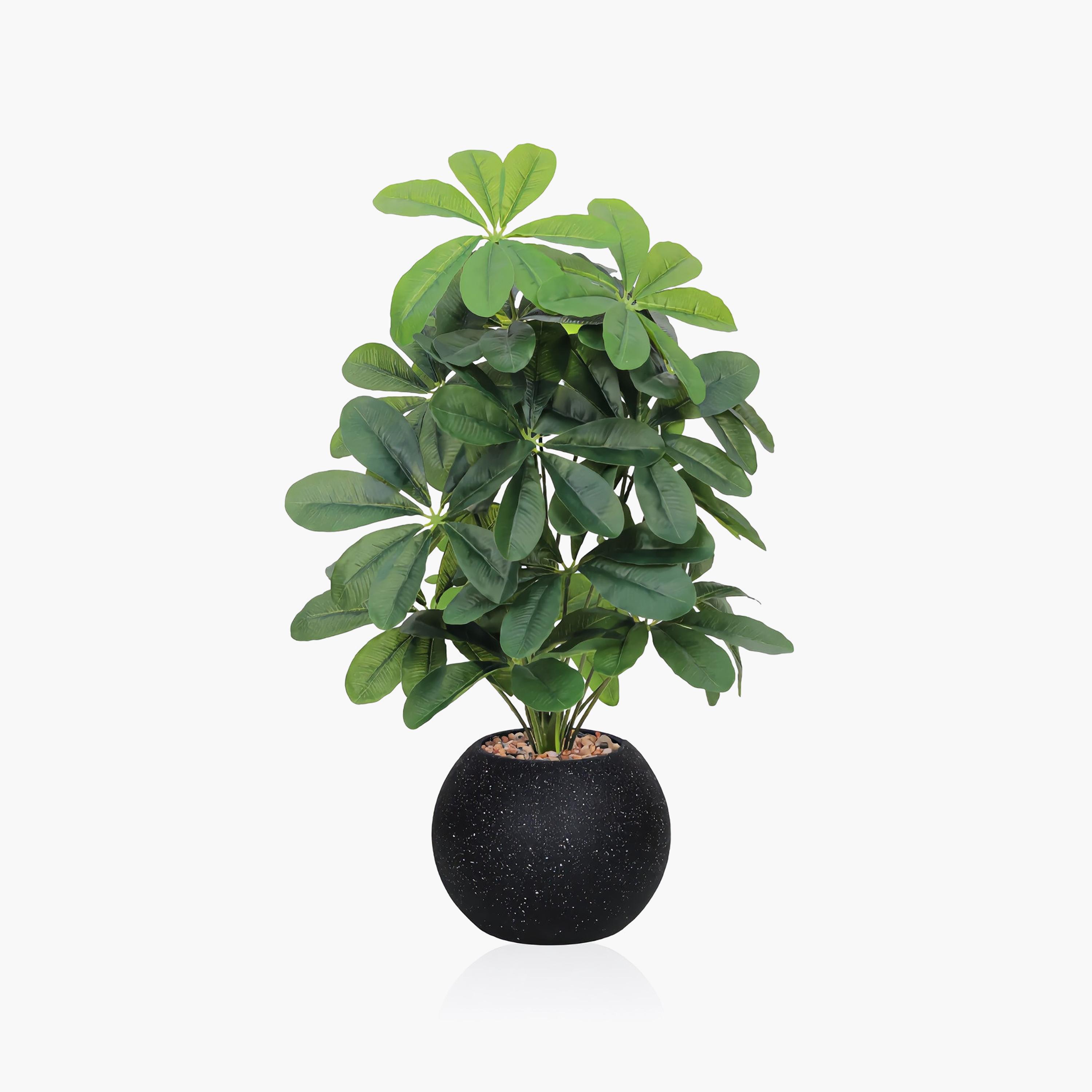 نبتة شيفليرا صناعية بأصيص من ماريا هومز-household-gardenandoutdoor-artificialflowersandplants-flowers-image-2