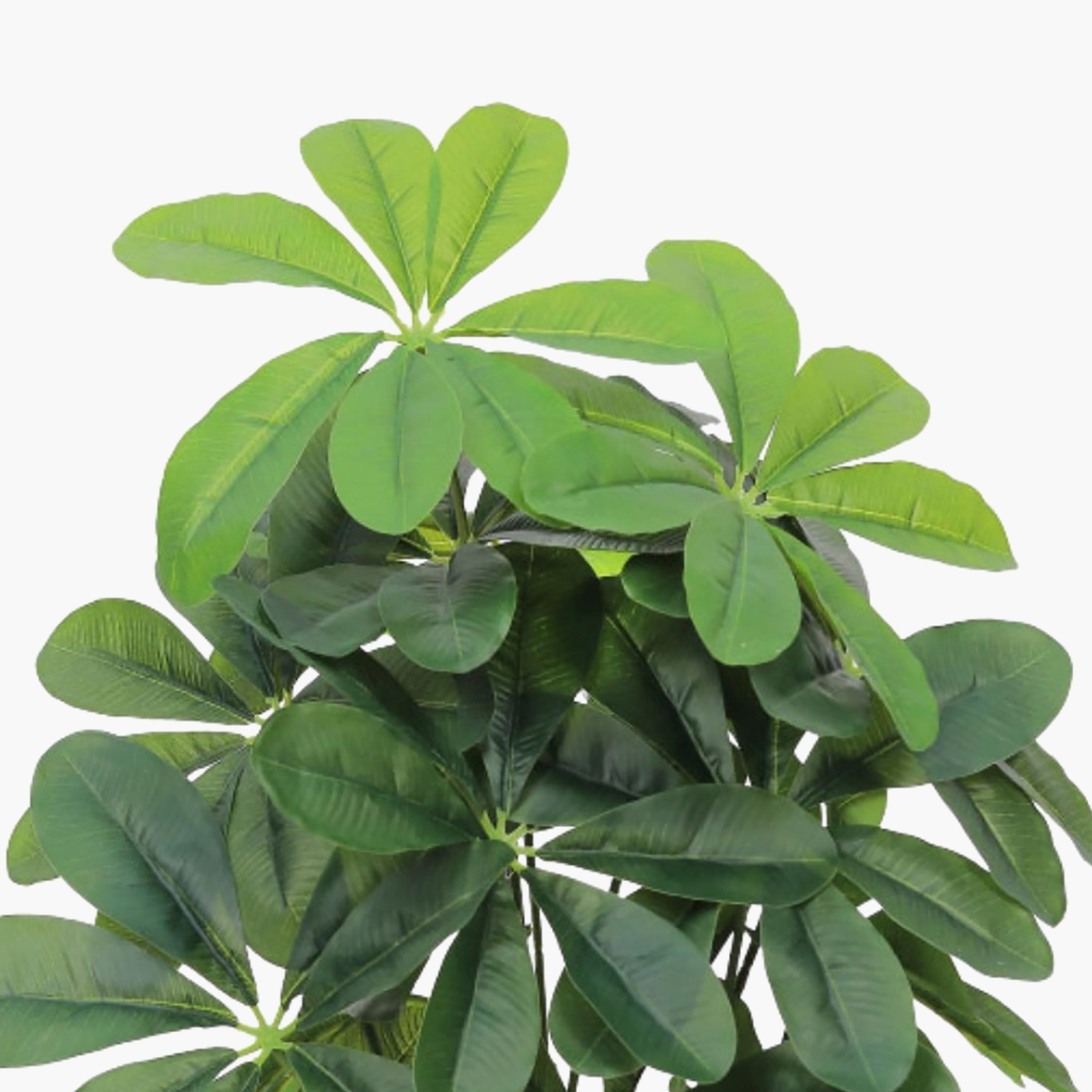 نبتة شيفليرا صناعية بأصيص من ماريا هومز-household-gardenandoutdoor-artificialflowersandplants-flowers-image-3