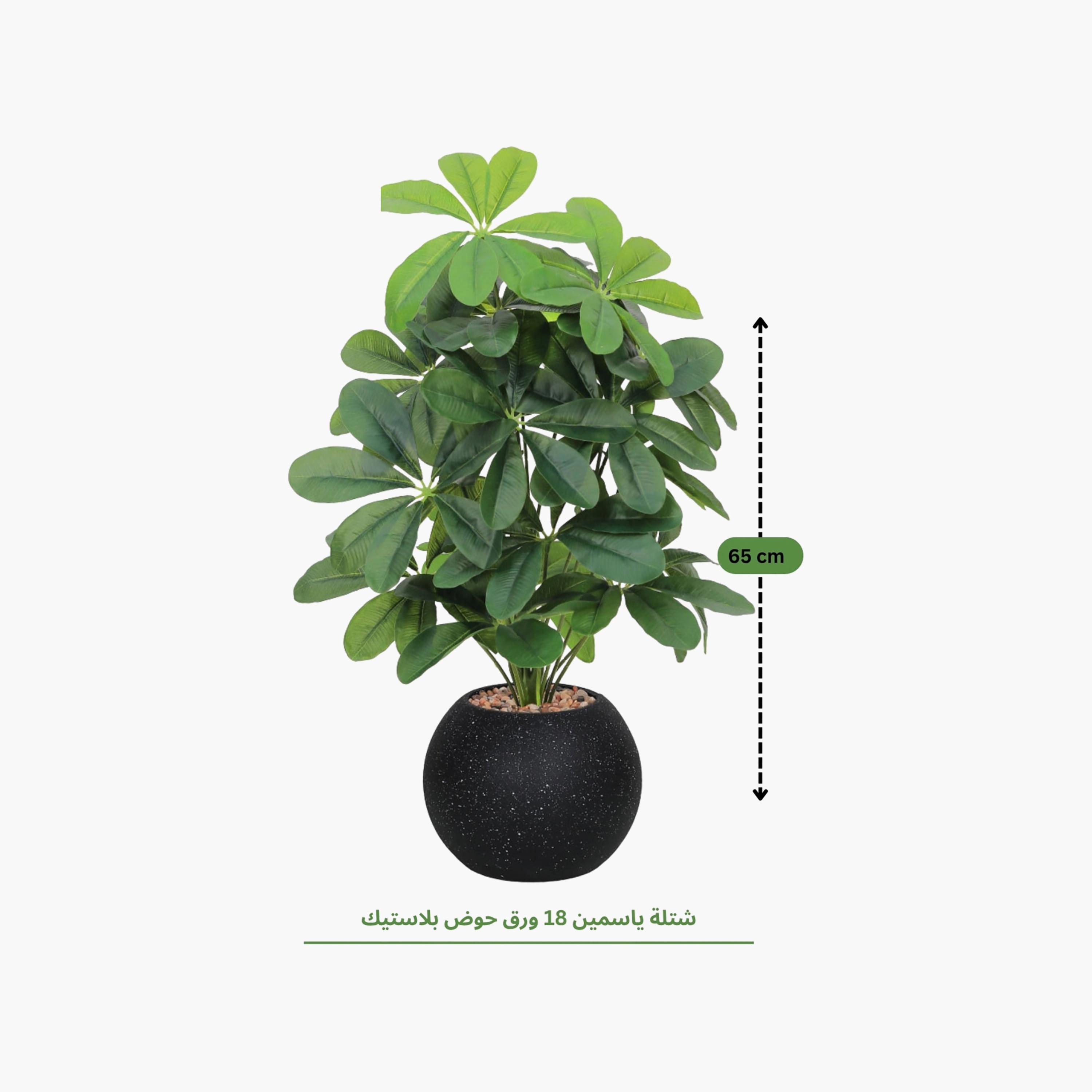 نبتة شيفليرا صناعية بأصيص من ماريا هومز-household-gardenandoutdoor-artificialflowersandplants-flowers-image-4