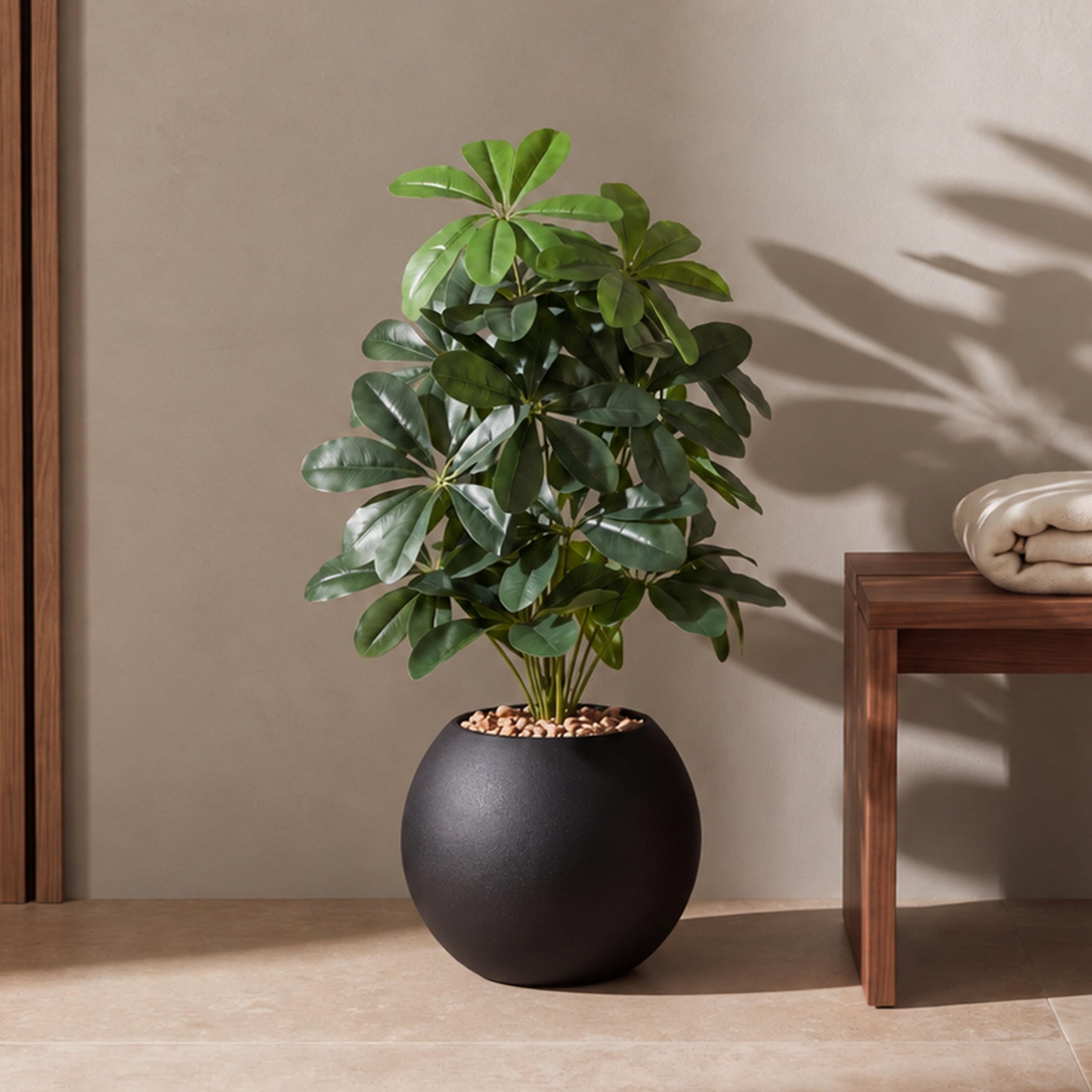 نبتة شيفليرا صناعية بأصيص من ماريا هومز-household-gardenandoutdoor-artificialflowersandplants-flowers-image-1