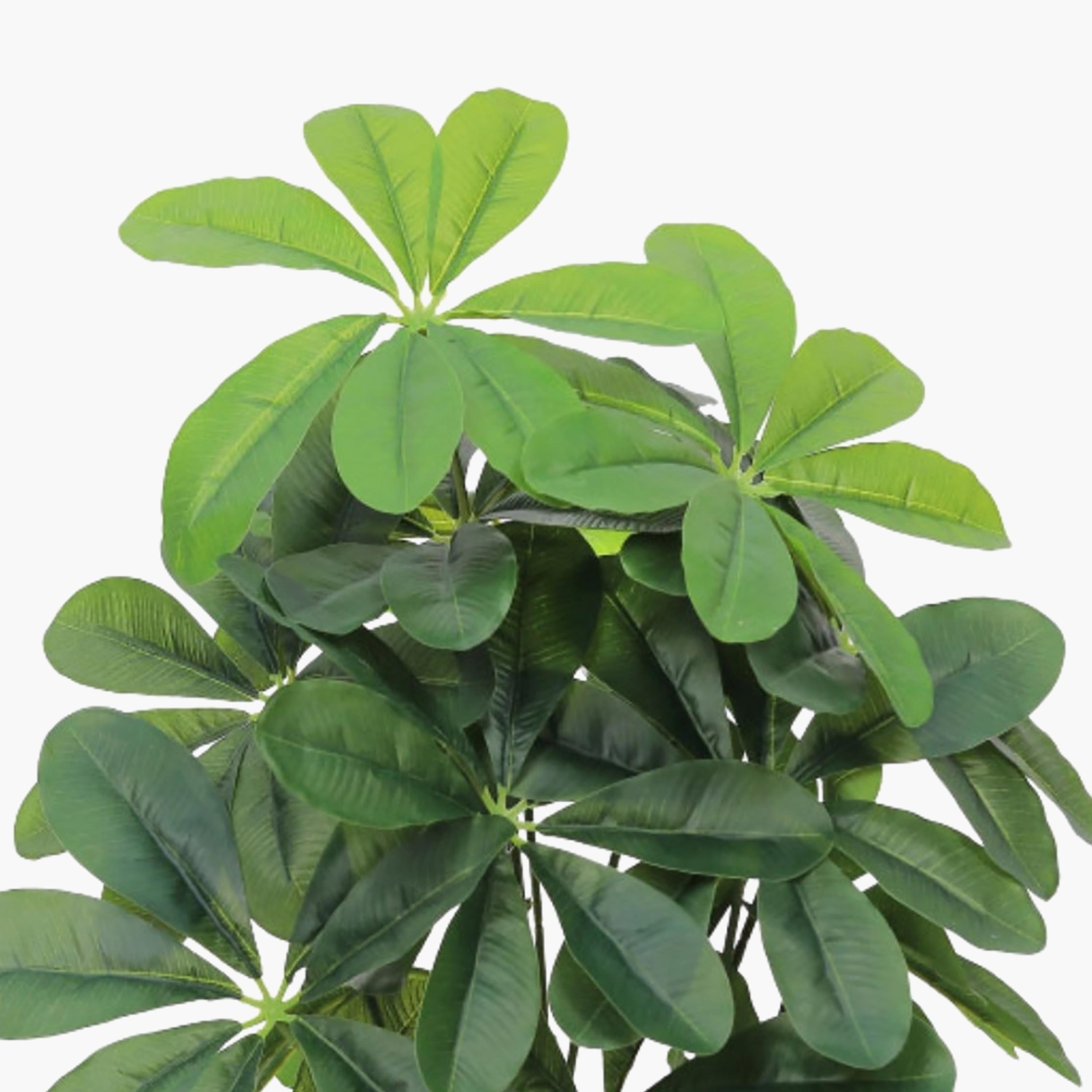 نبتة شيفليرا صناعية بأصيص من ماريا هومز-household-gardenandoutdoor-artificialflowersandplants-flowers-image-3