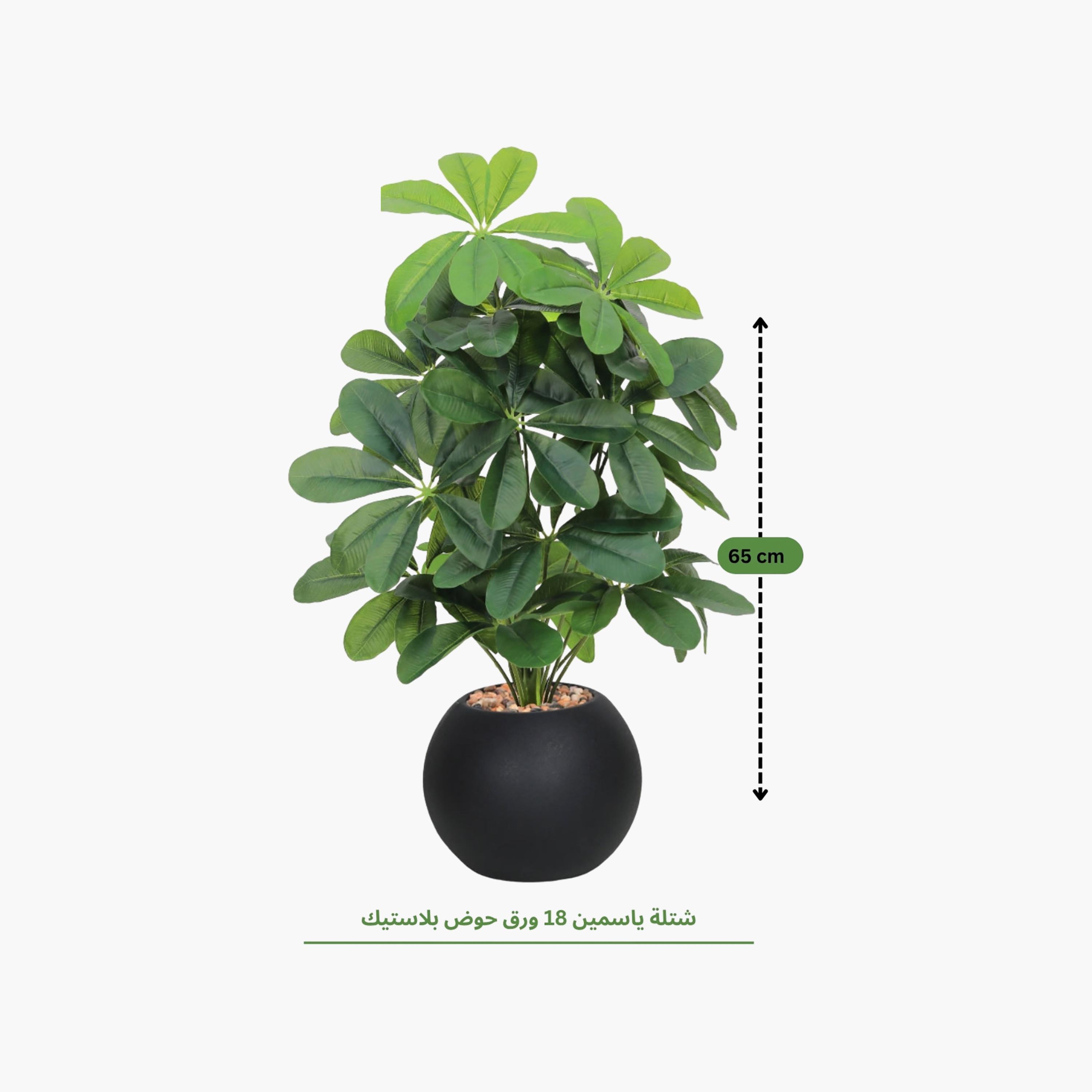 نبتة شيفليرا صناعية بأصيص من ماريا هومز-household-gardenandoutdoor-artificialflowersandplants-flowers-image-4