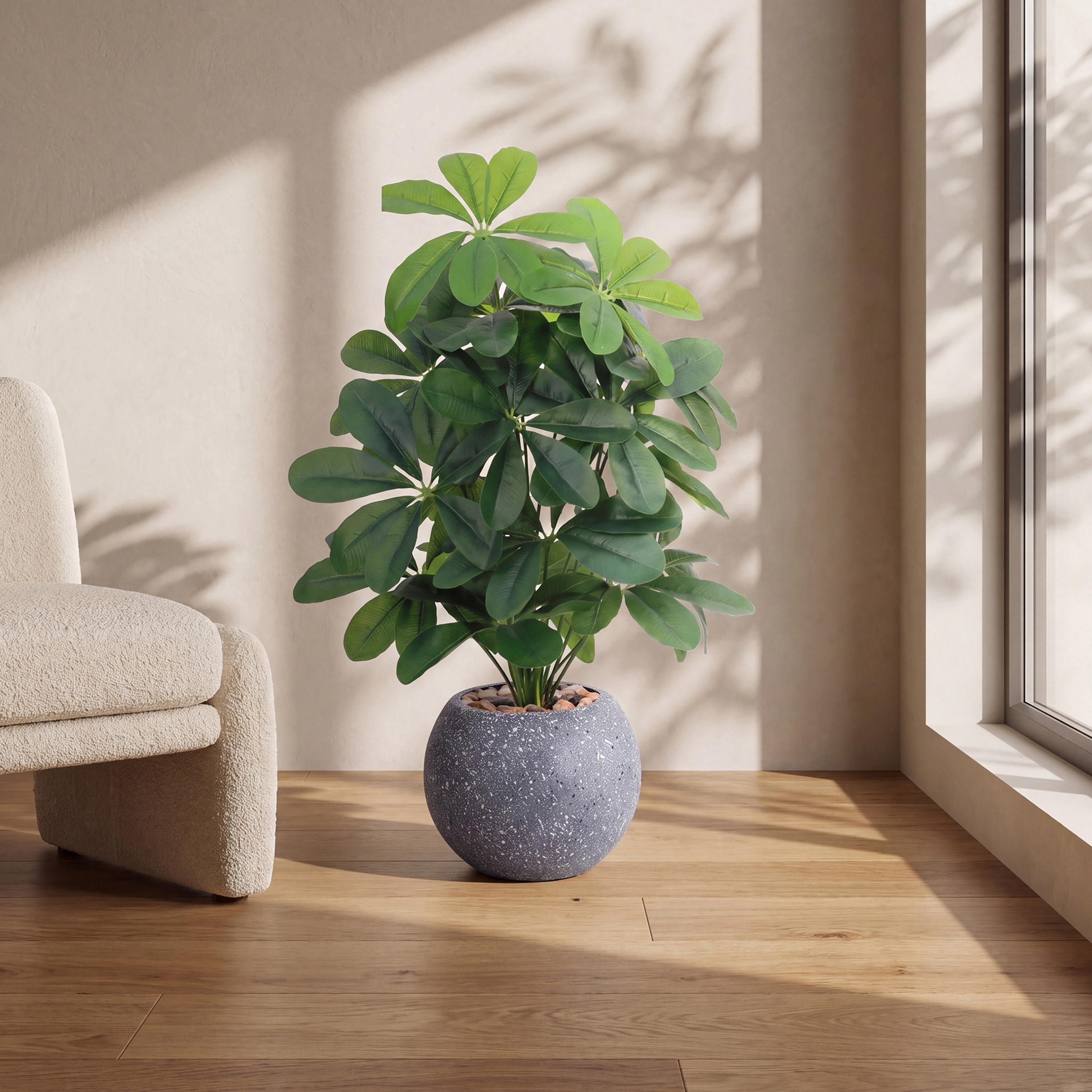 نبتة شيفليرا صناعية بأصيص من ماريا هومز-household-gardenandoutdoor-artificialflowersandplants-flowers-image-1