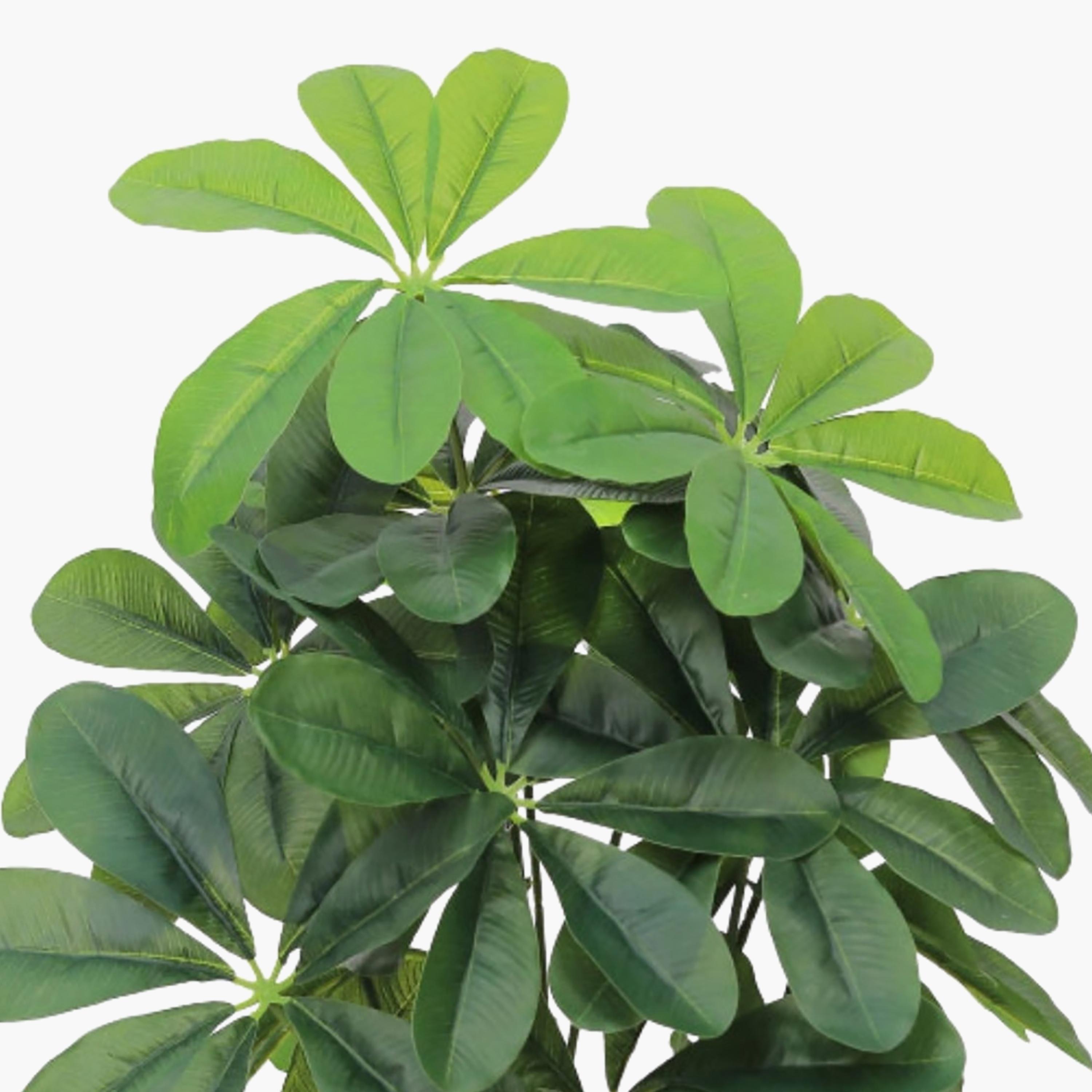 نبتة شيفليرا صناعية بأصيص من ماريا هومز-household-gardenandoutdoor-artificialflowersandplants-flowers-image-3