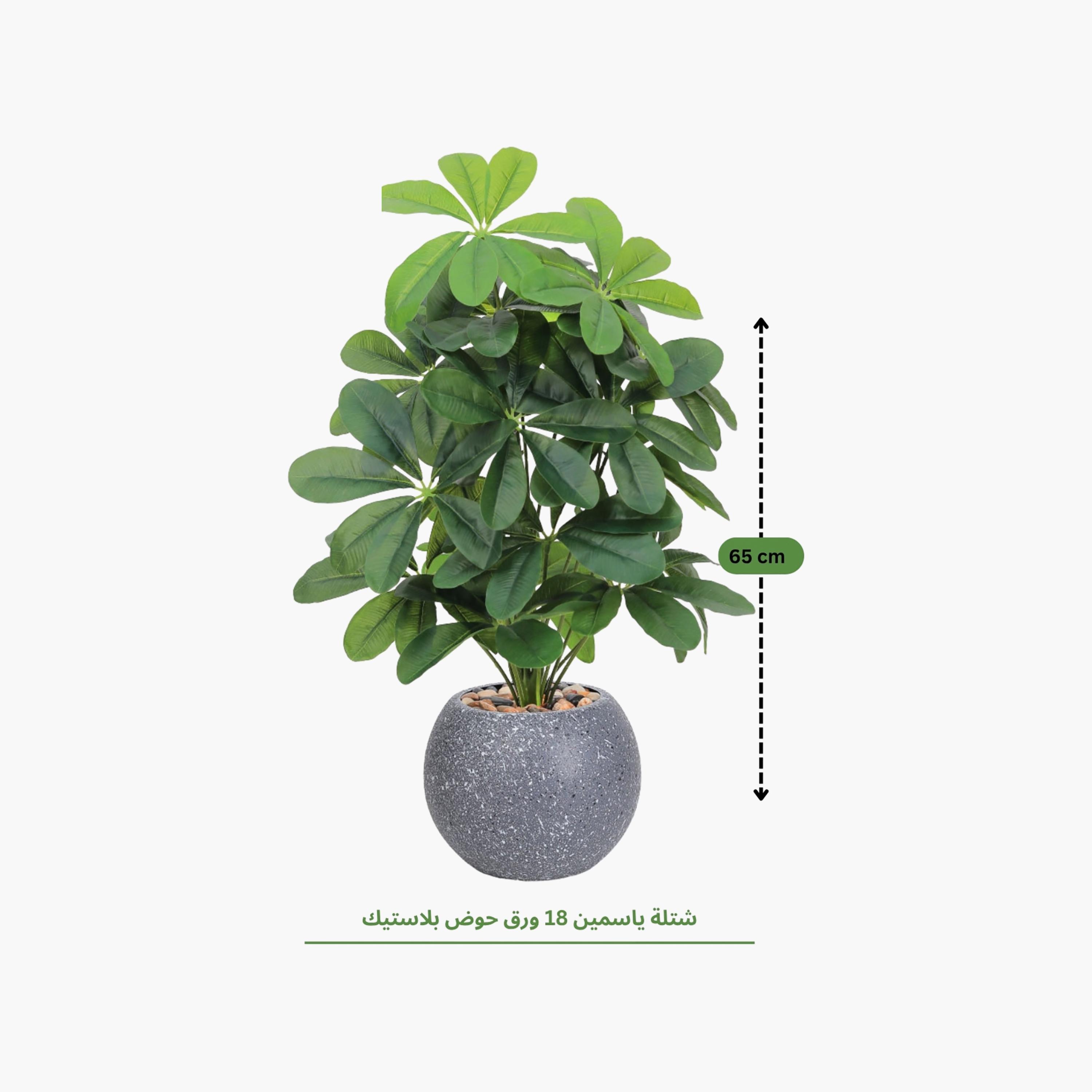 نبتة شيفليرا صناعية بأصيص من ماريا هومز-household-gardenandoutdoor-artificialflowersandplants-flowers-image-4