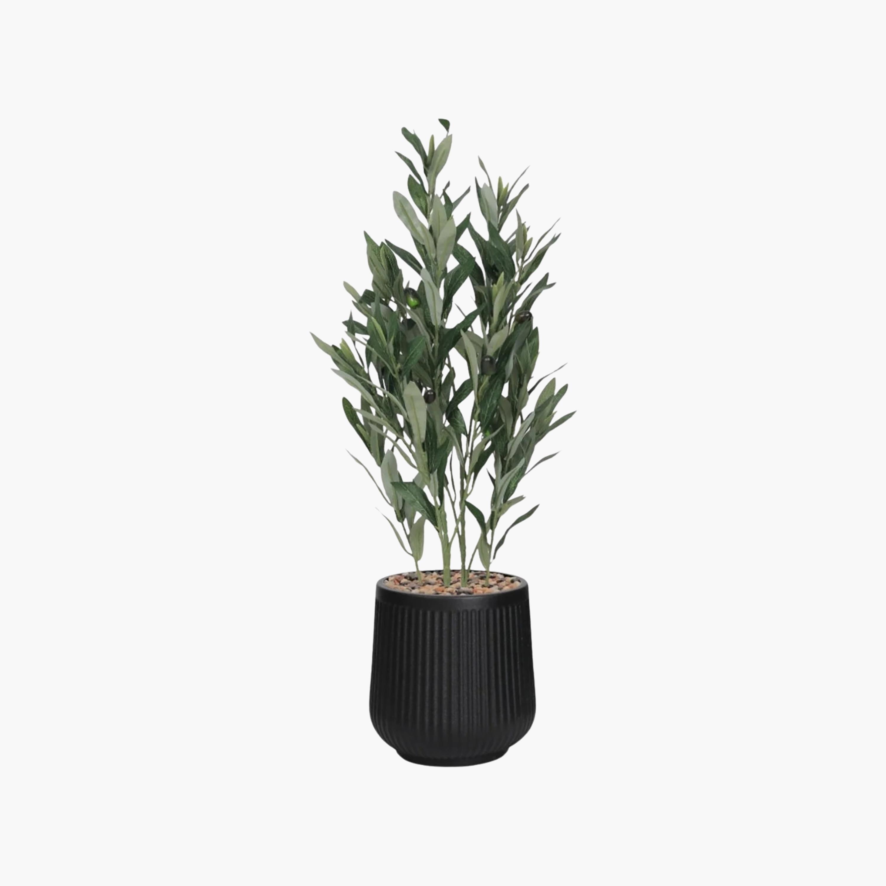 نبتة زيتون صناعية في أصيص من ماريا هومز-household-gardenandoutdoor-artificialflowersandplants-flowers-image-2