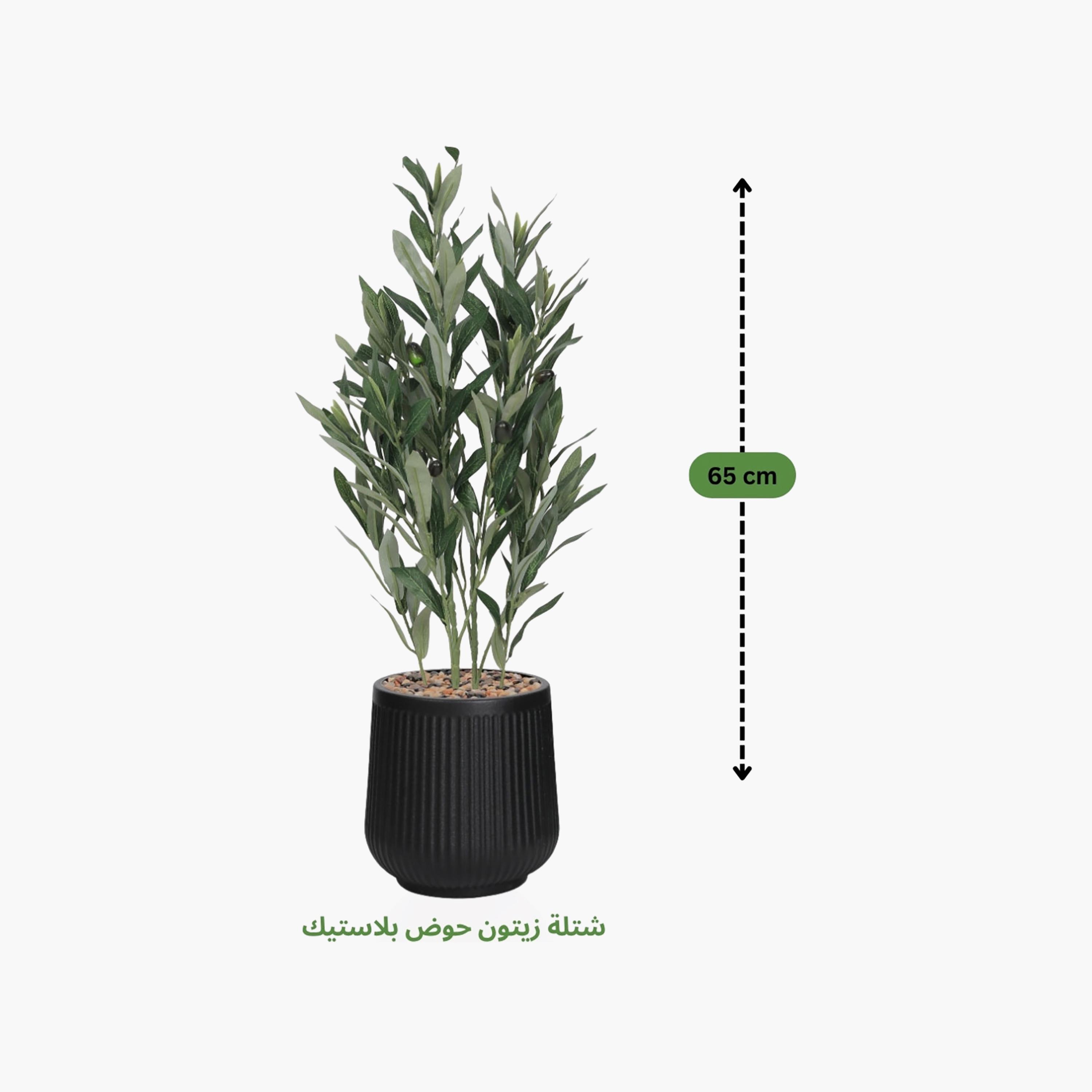 نبتة زيتون صناعية في أصيص من ماريا هومز-household-gardenandoutdoor-artificialflowersandplants-flowers-image-4