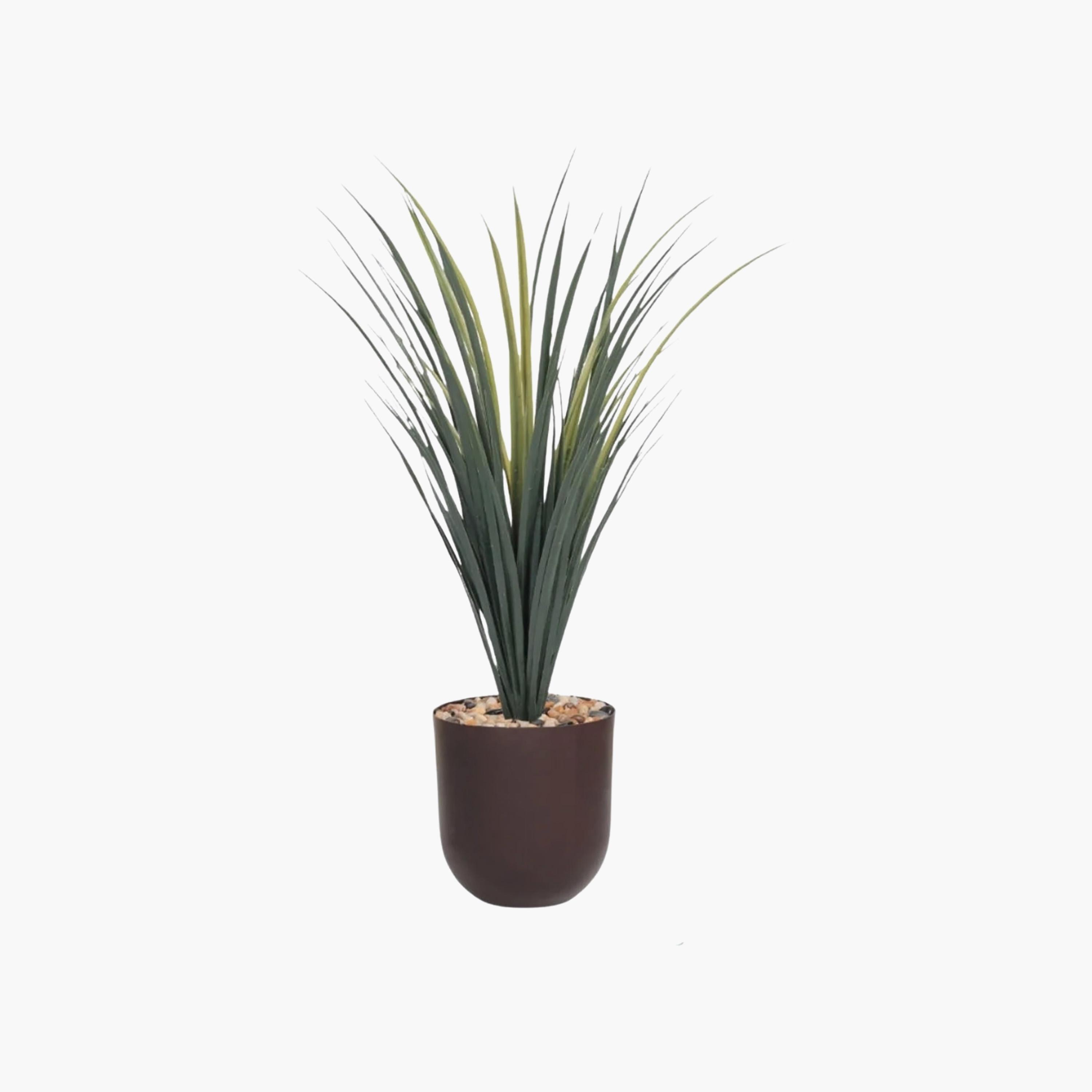 Maria Homes Potted Artificial Grass Plant-household-gardenandoutdoor-artificialflowersandplants-flowers-image-2