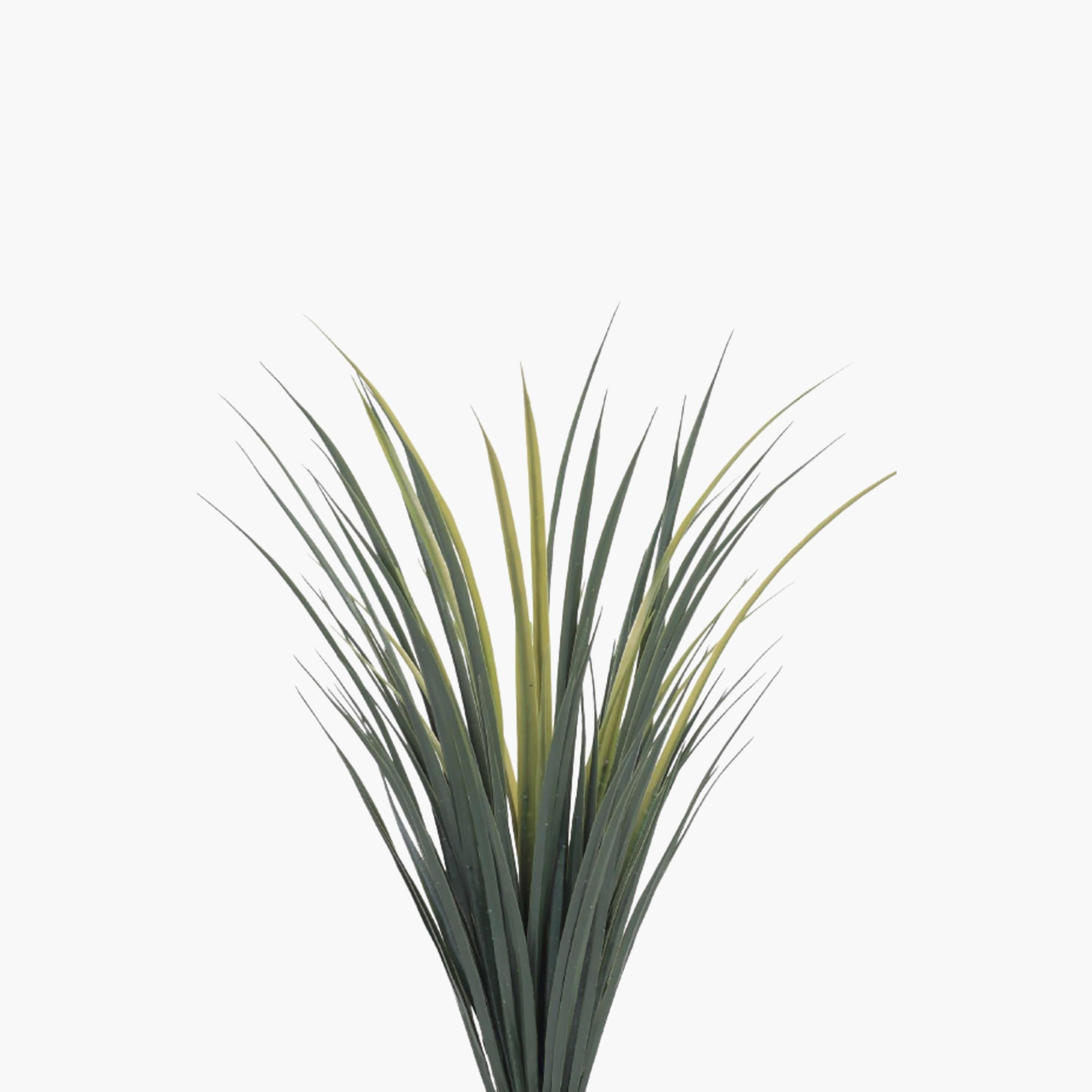 Maria Homes Potted Artificial Grass Plant-household-gardenandoutdoor-artificialflowersandplants-flowers-image-3