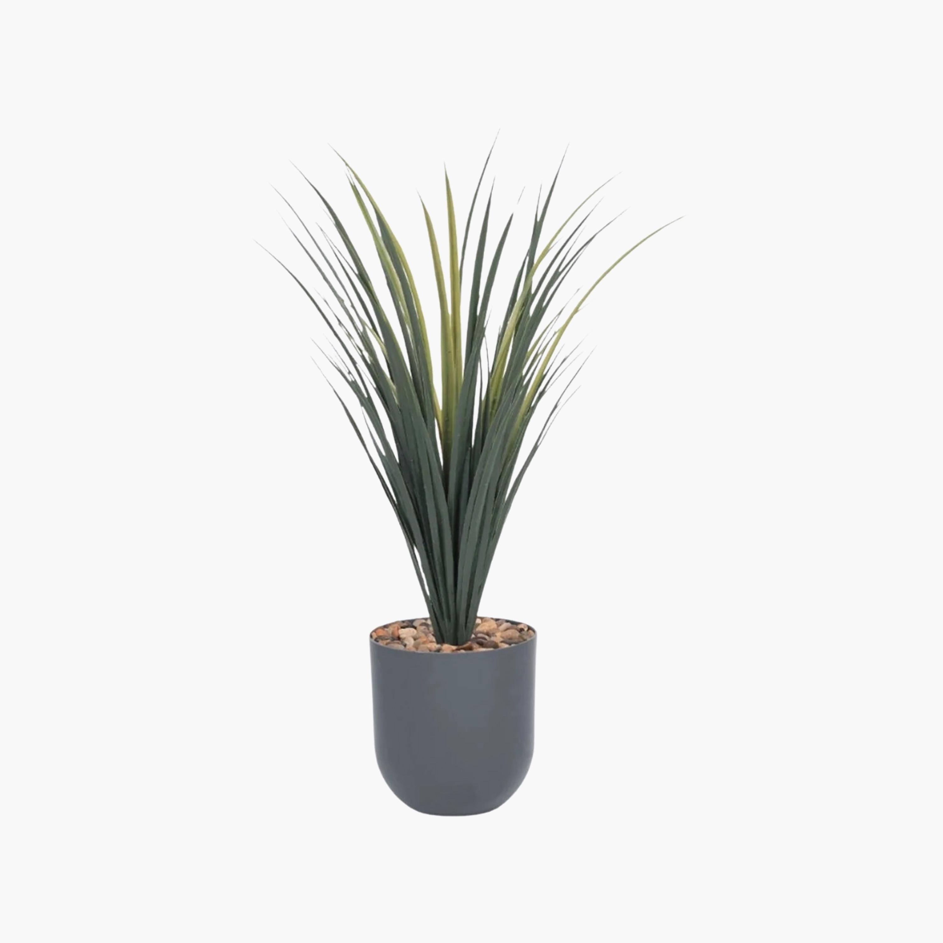 Maria Homes Potted Artificial Grass Plant-household-gardenandoutdoor-artificialflowersandplants-flowers-image-2