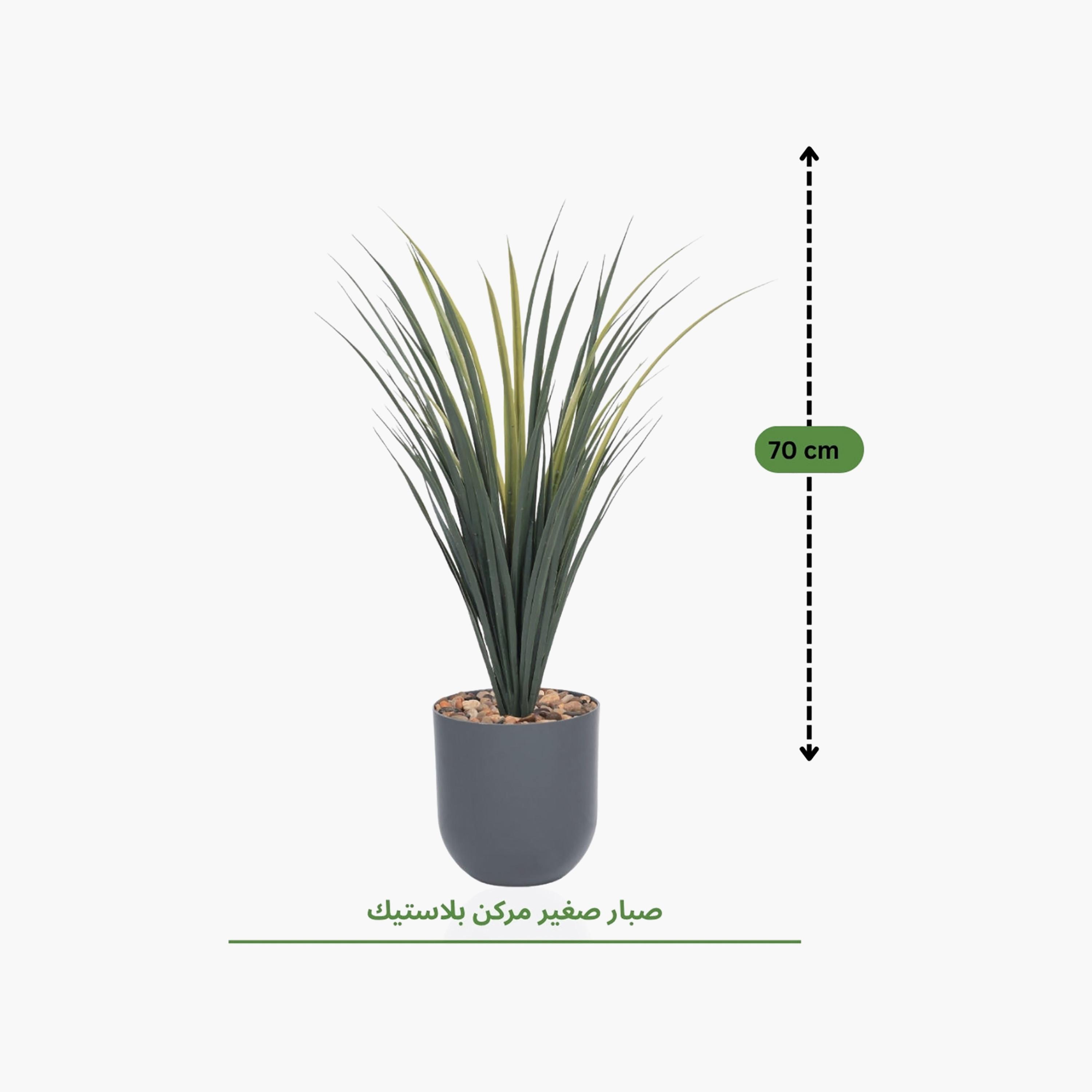 Maria Homes Potted Artificial Grass Plant-household-gardenandoutdoor-artificialflowersandplants-flowers-image-4