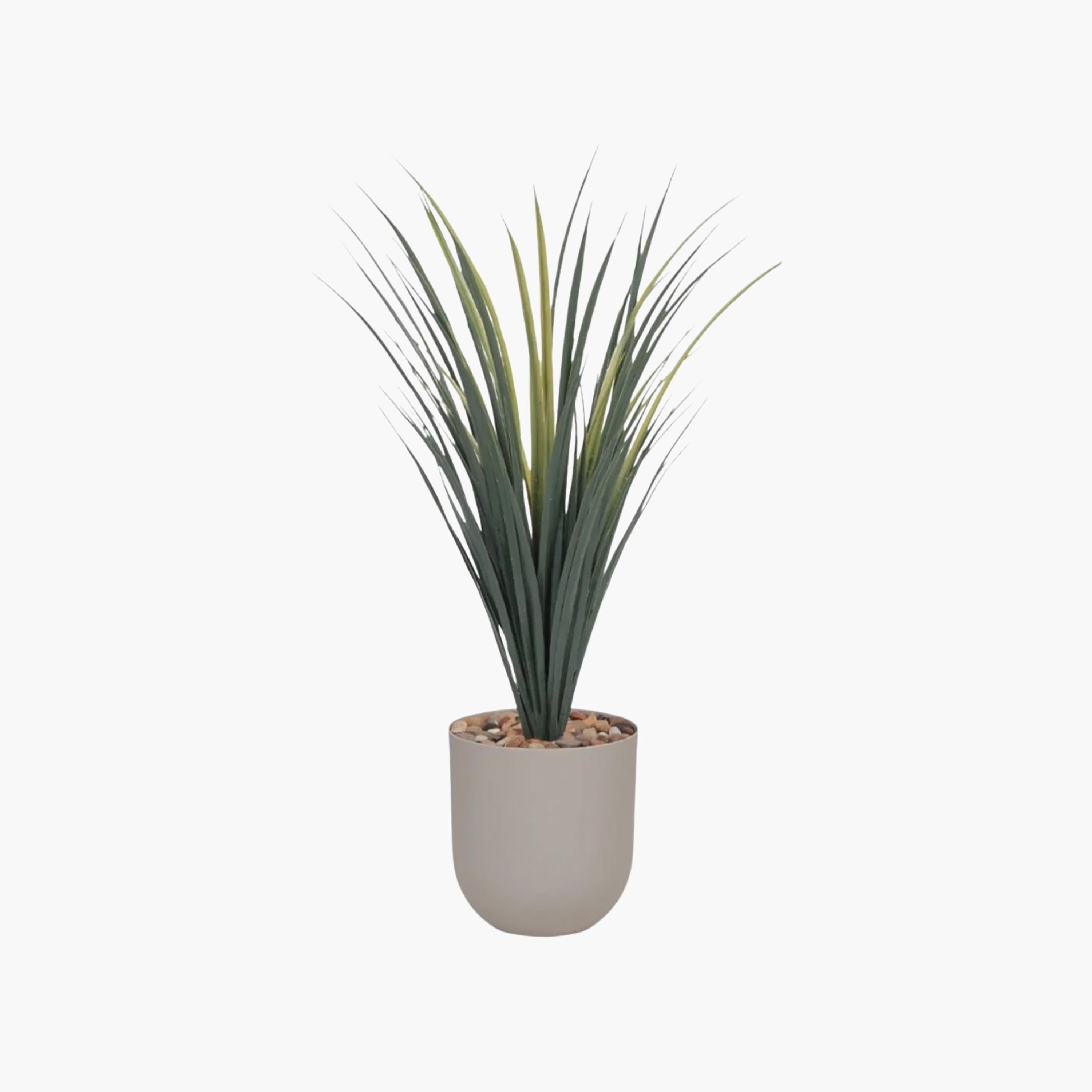 Maria Homes Potted Artificial Grass Plant-household-gardenandoutdoor-artificialflowersandplants-flowers-image-2