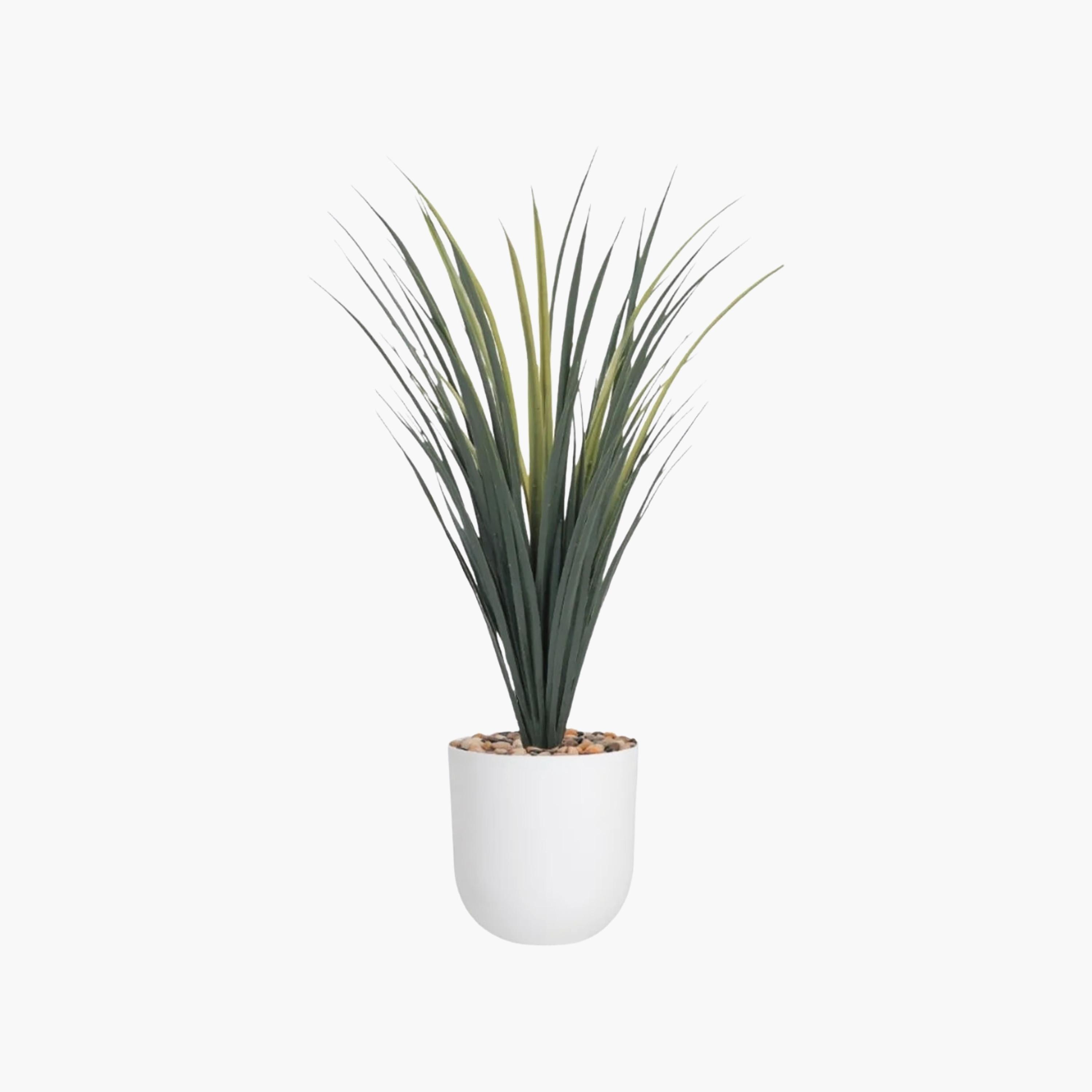 Maria Homes Potted Artificial Grass Plant-household-gardenandoutdoor-artificialflowersandplants-flowers-image-2